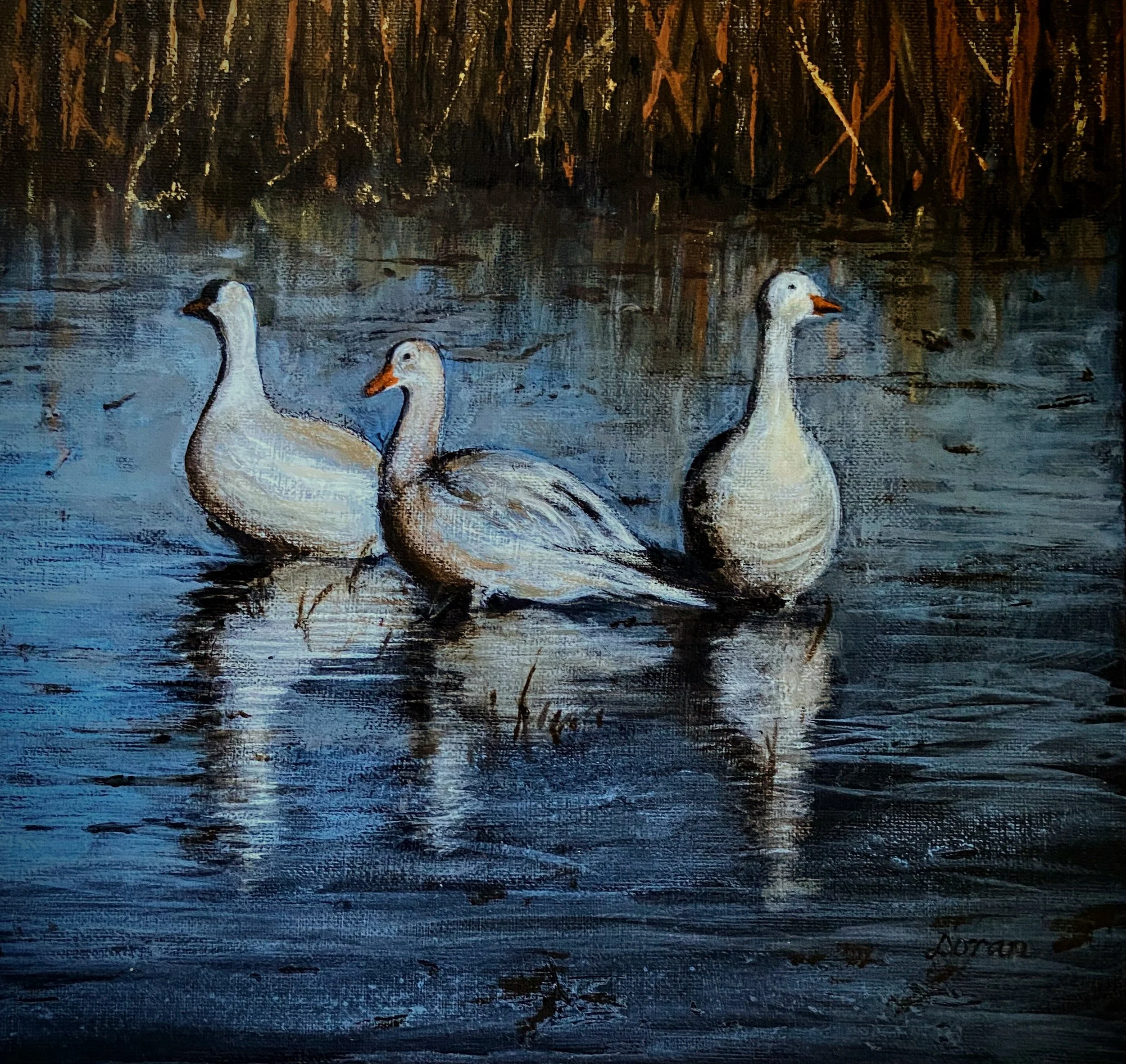 Three Muskateers IMG_3827.jpg