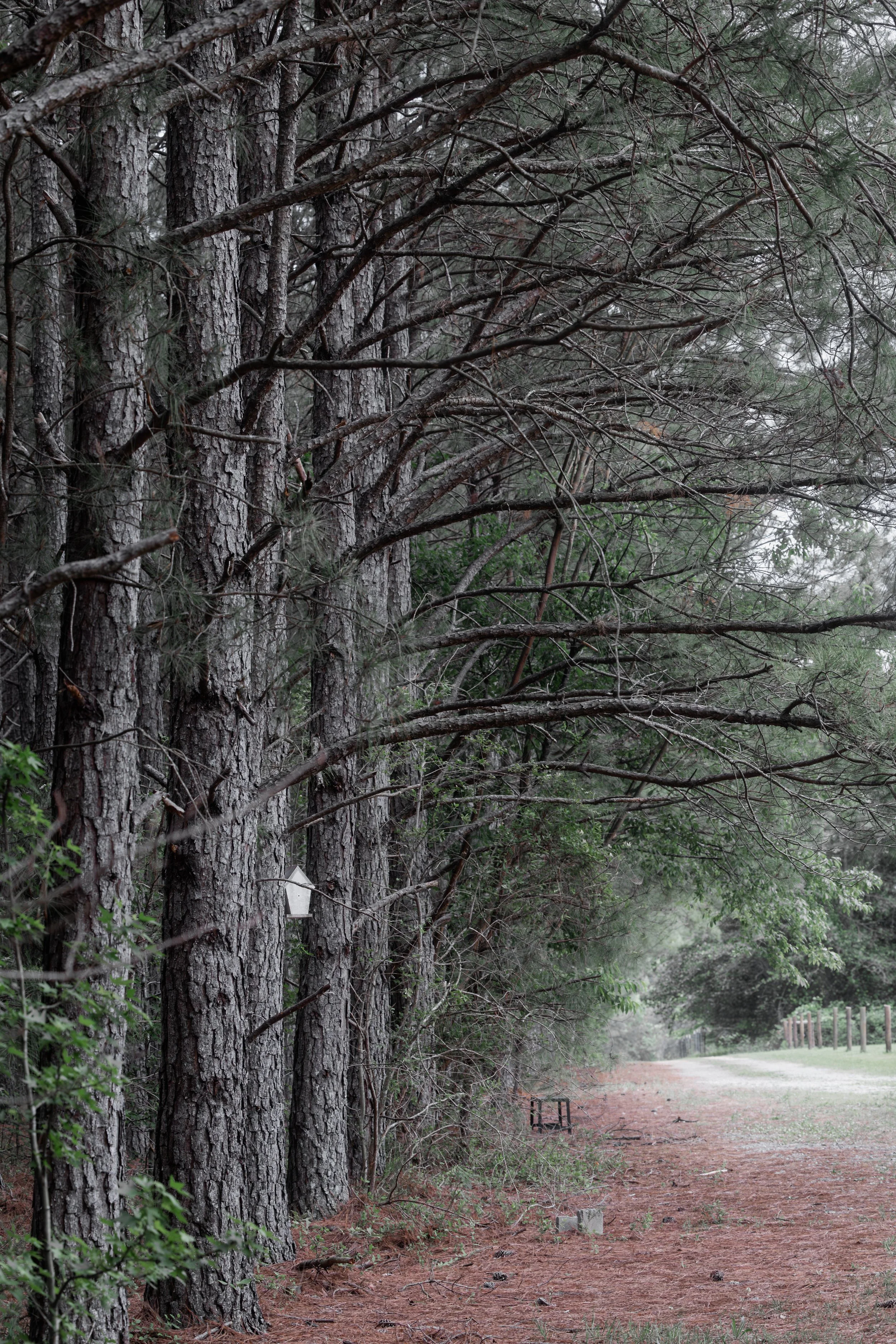 driveway.jpg