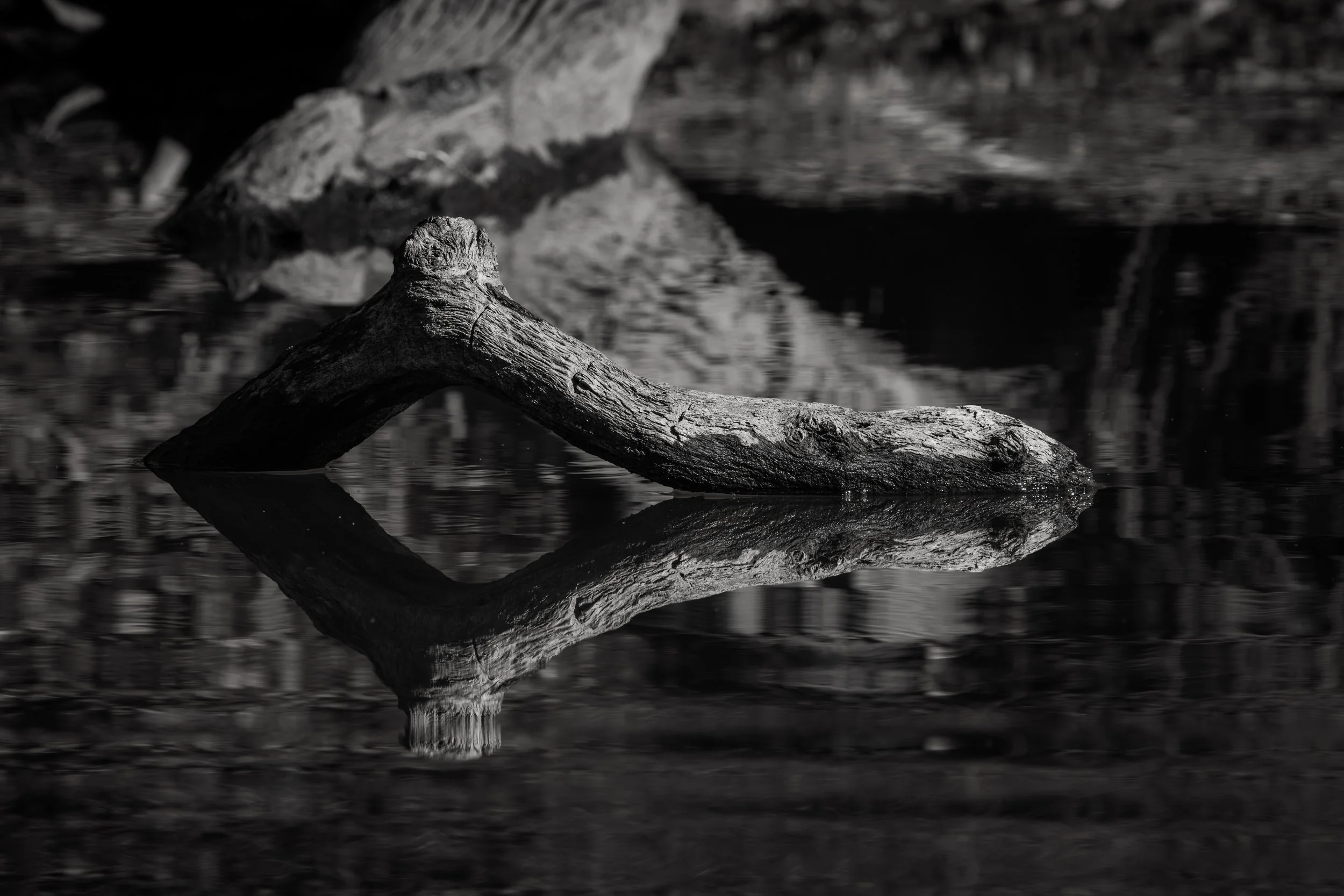 buckhorn reflection.jpg