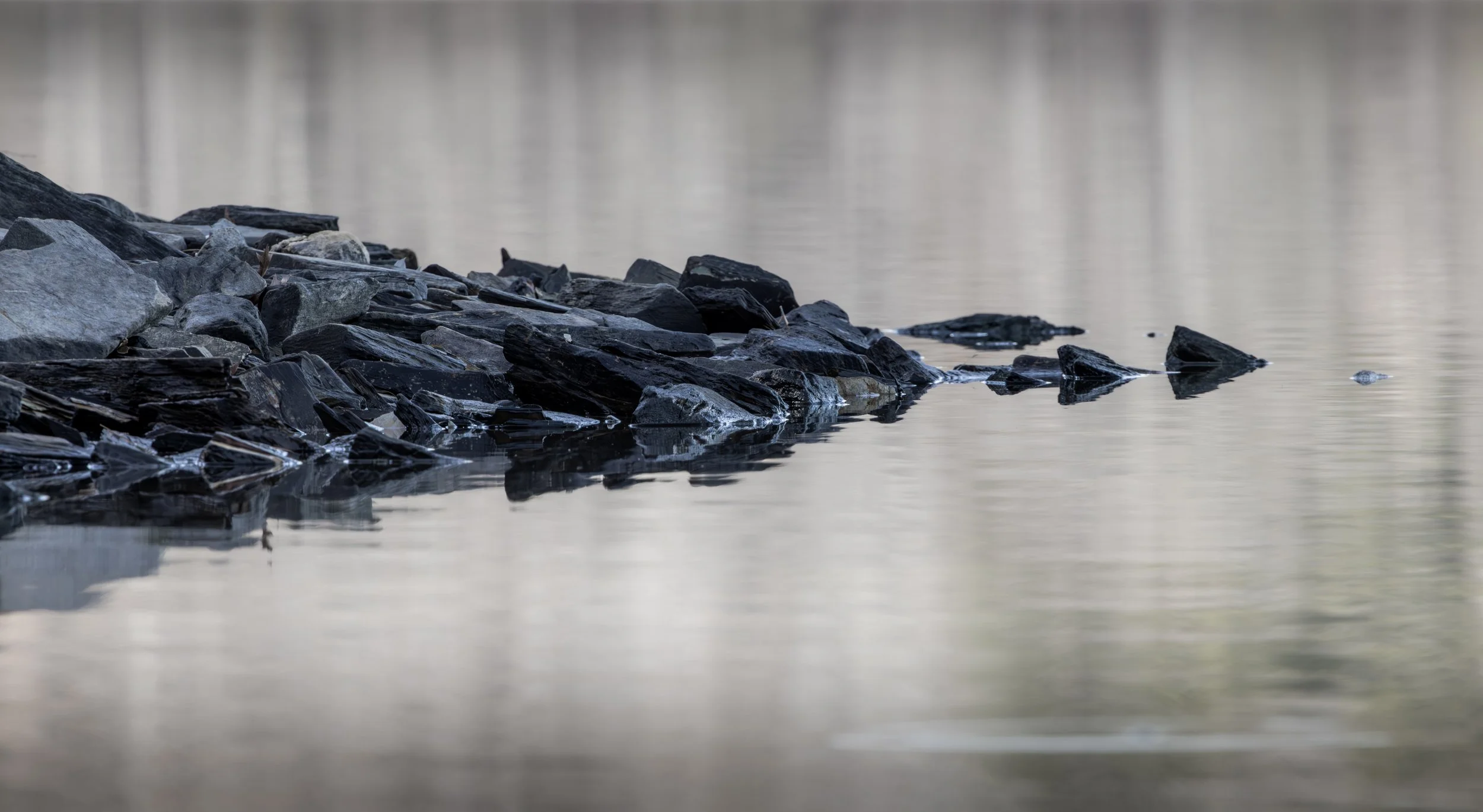 Buckhorn South Shore.jpg