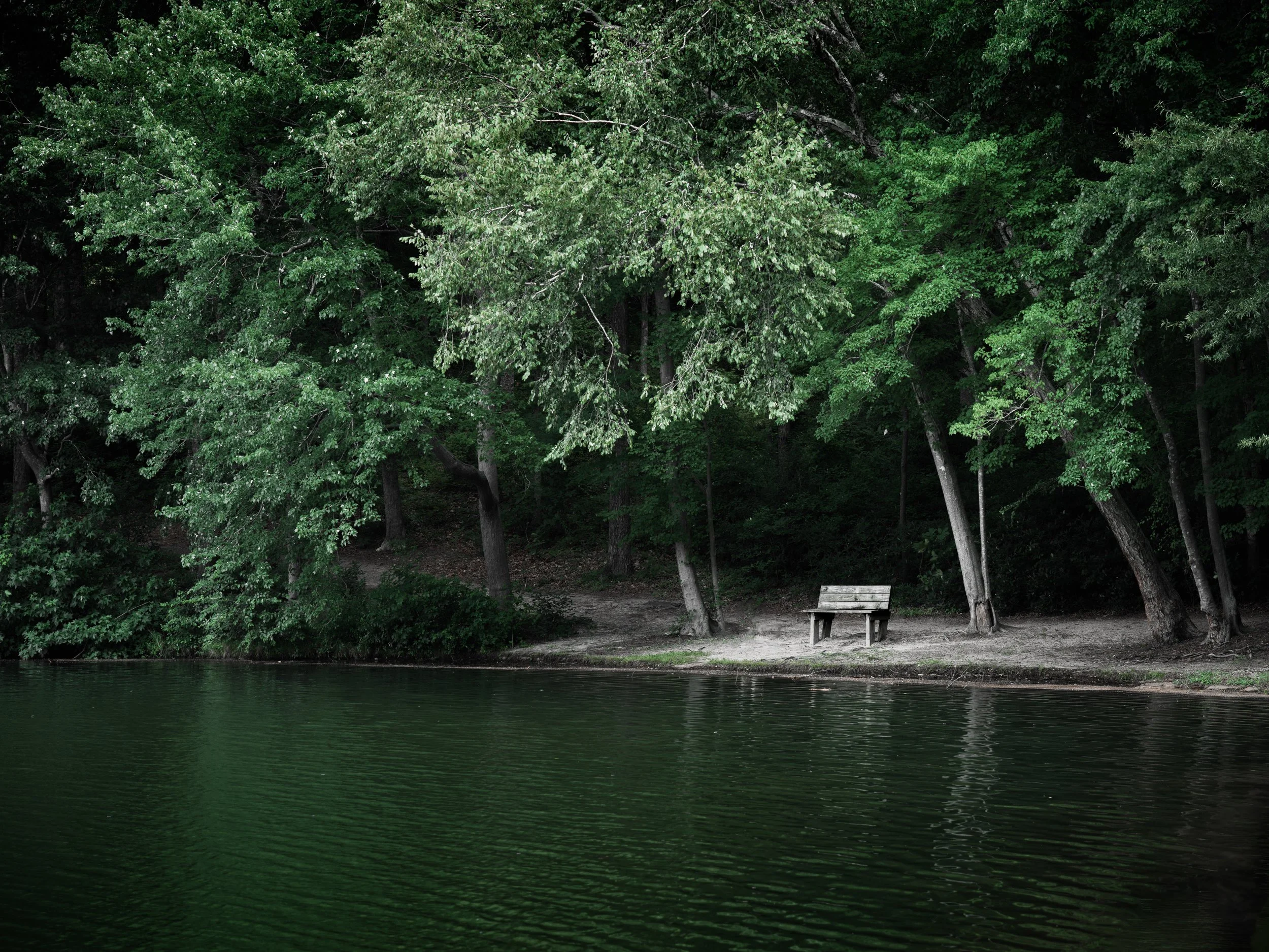 B0000210.jpg