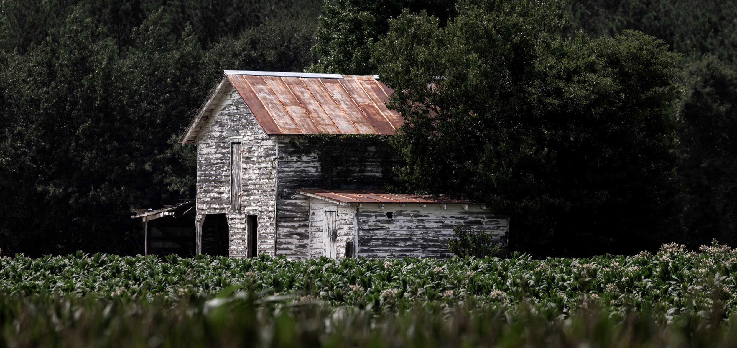barnjuly26.jpg