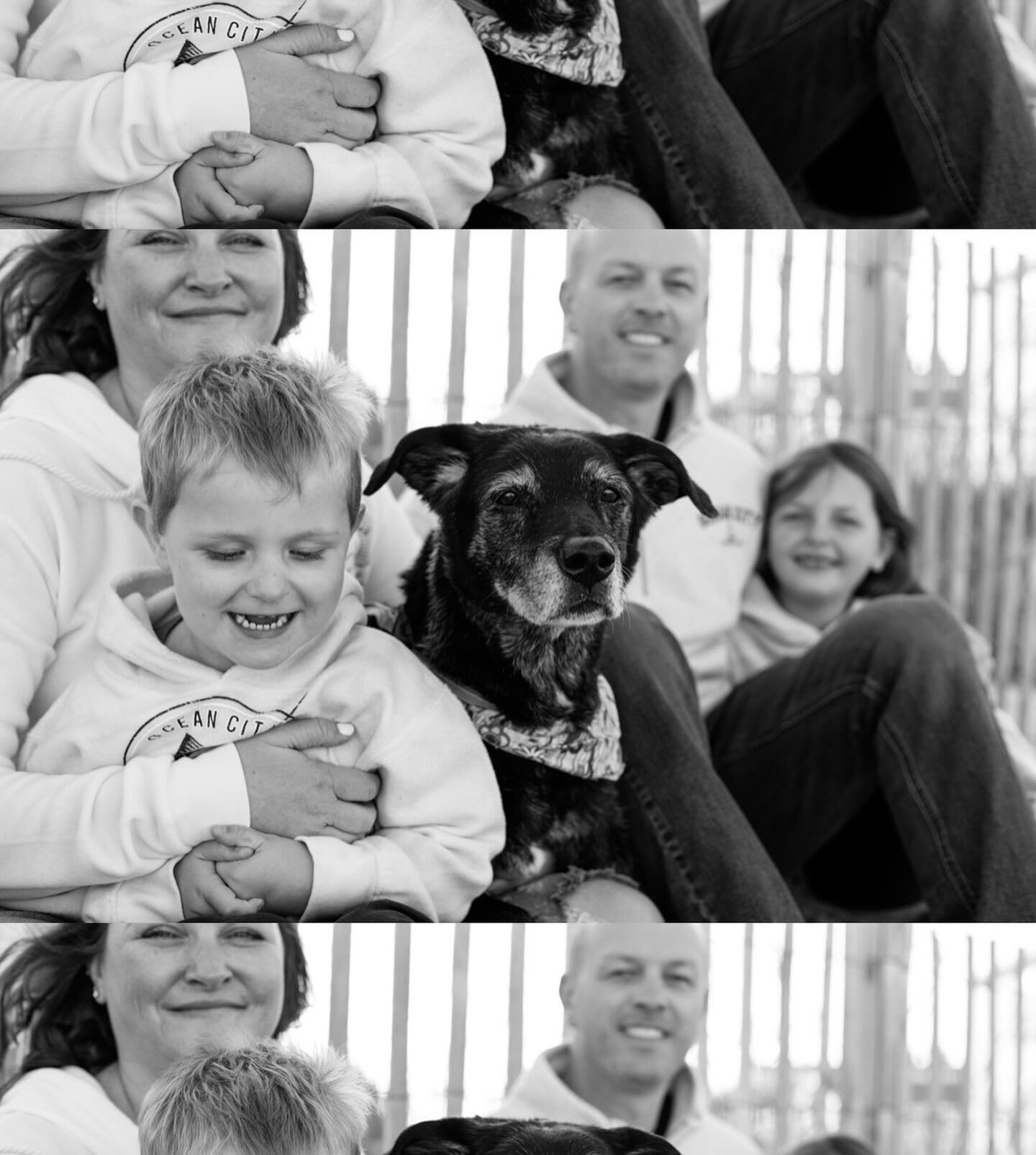 had the honor of capturing this sweet old girl&rsquo;s last trip to the beach 🥹 pets truly are family, they are so so special