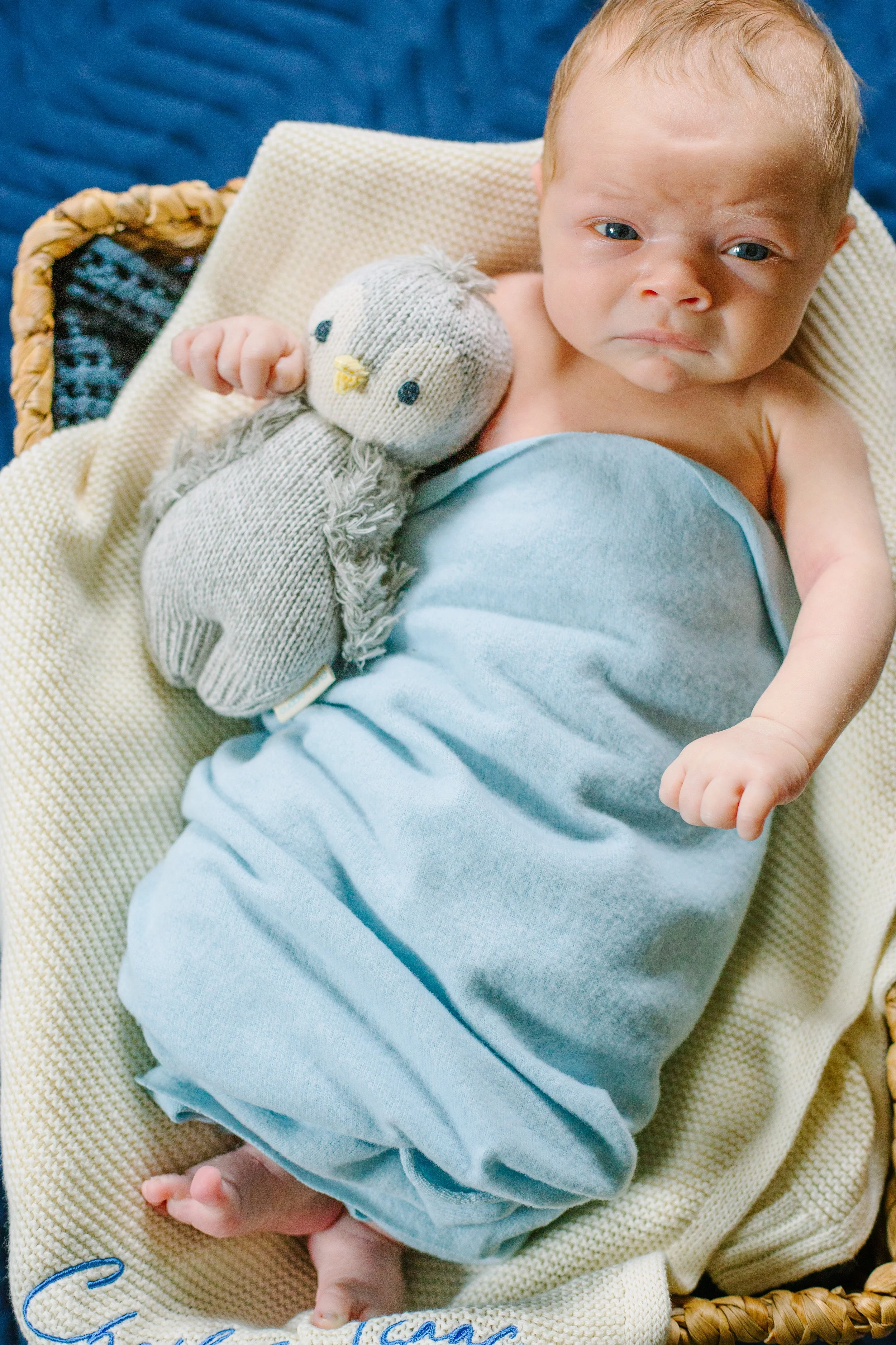 BabyKent-129.jpg