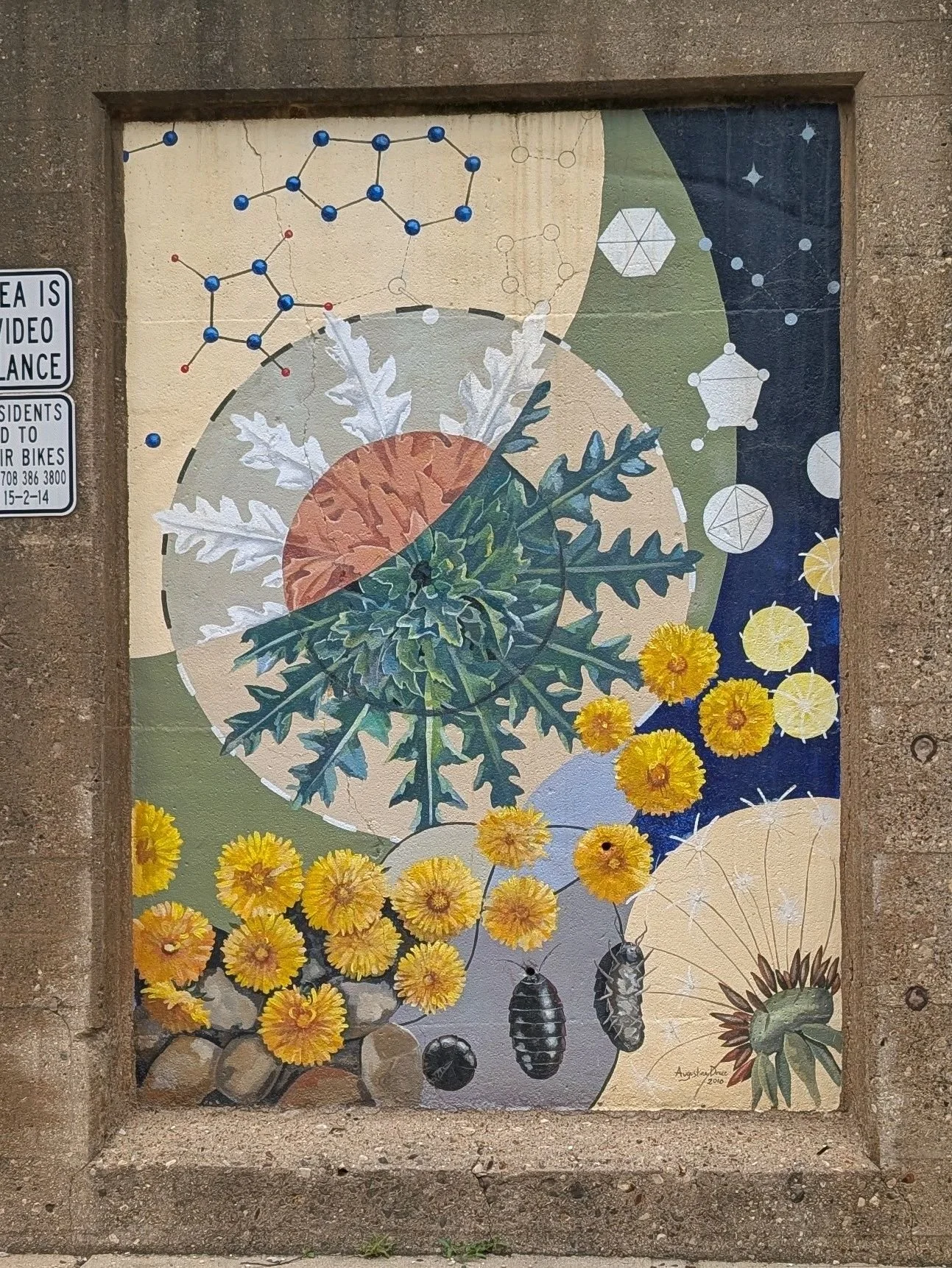 Interdependence - Dayna E, from 2025 Youth Trip to Chicago