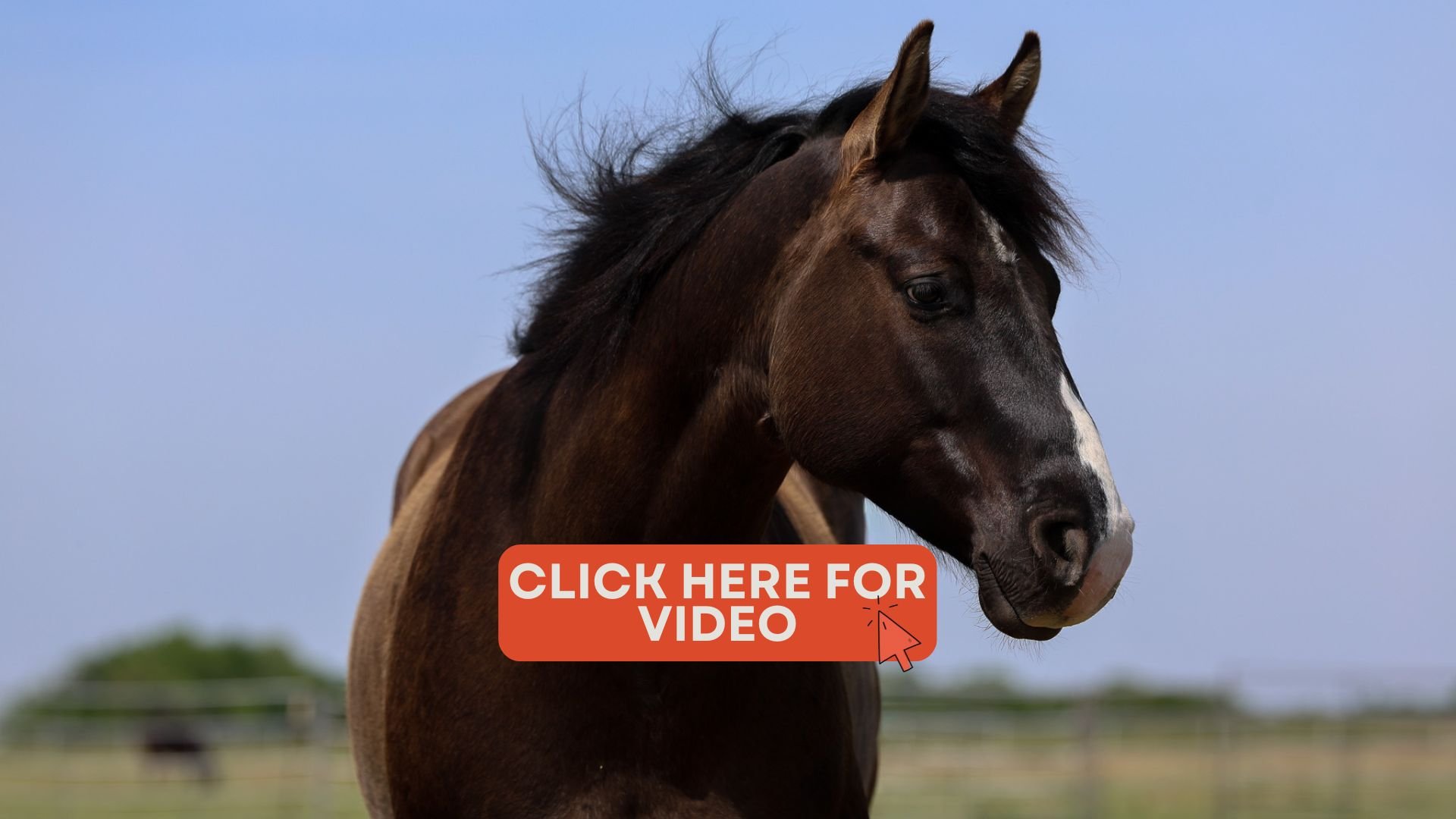 Watch his video and let us know if you have any questions!