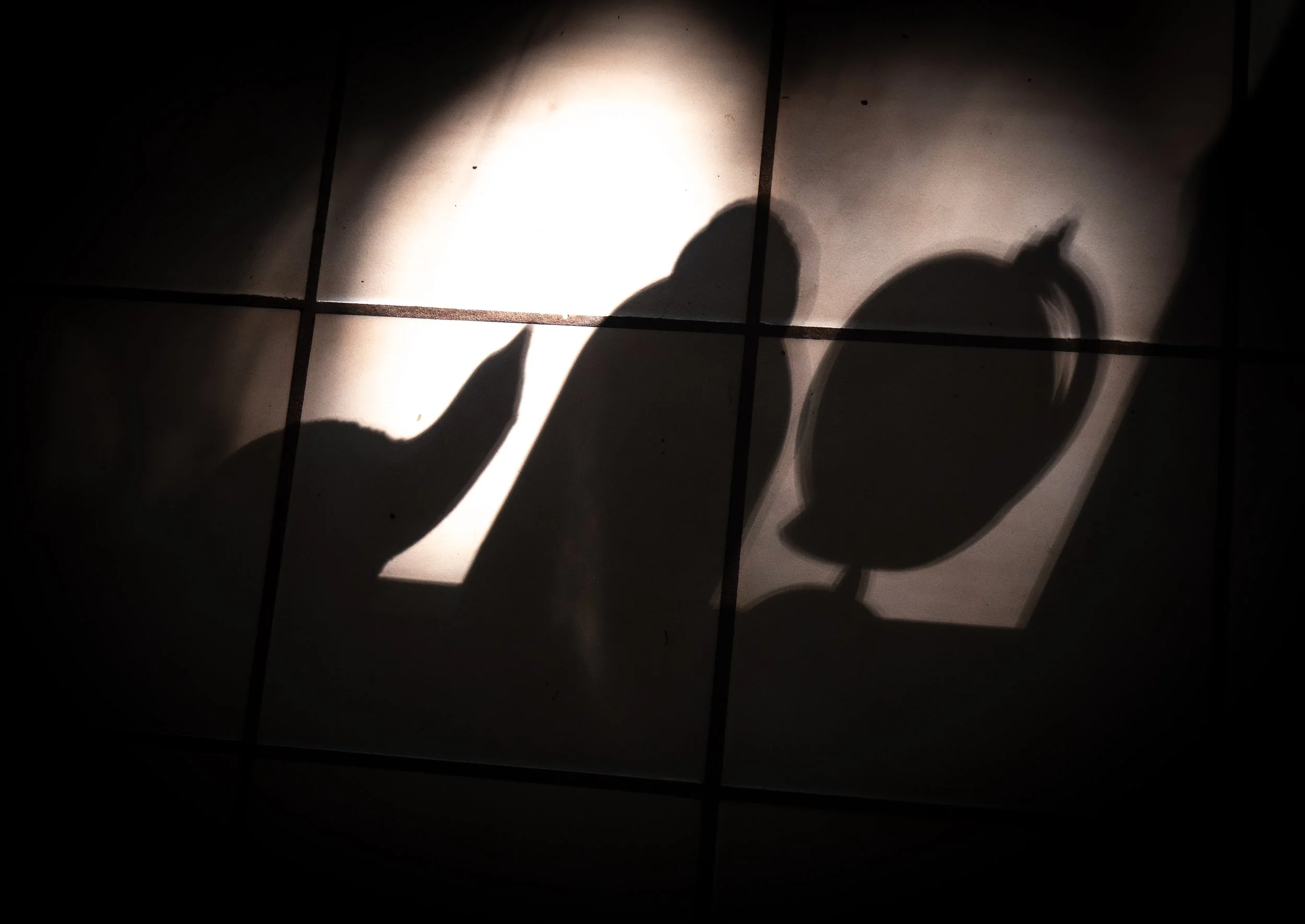 house shadow PNOR3633_ export for print_.jpg