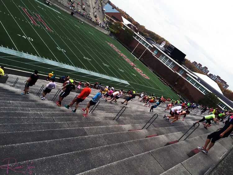 Happy Birthday November Project!