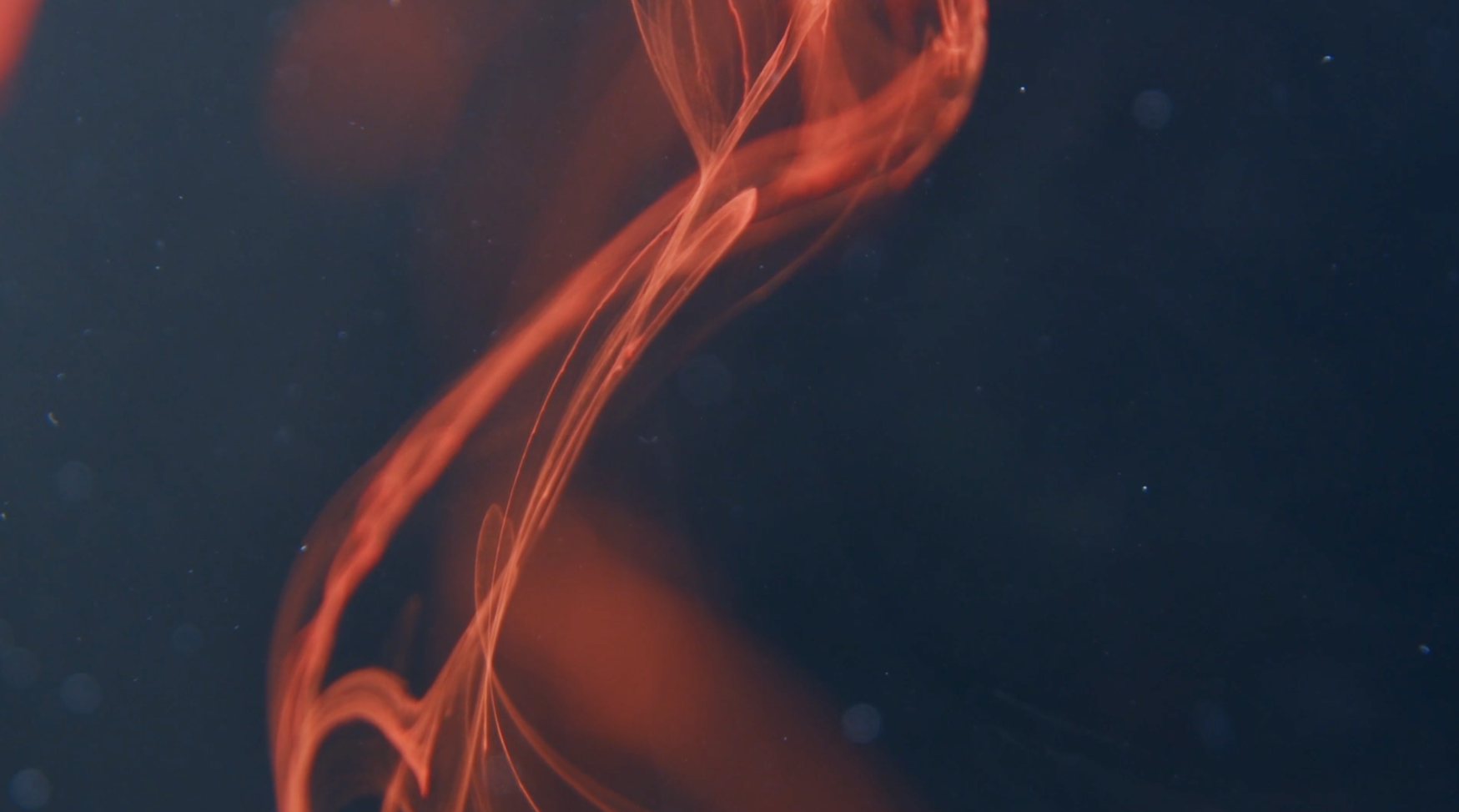 Screenshot 2026-04-12 at 7.44.50 PM.png