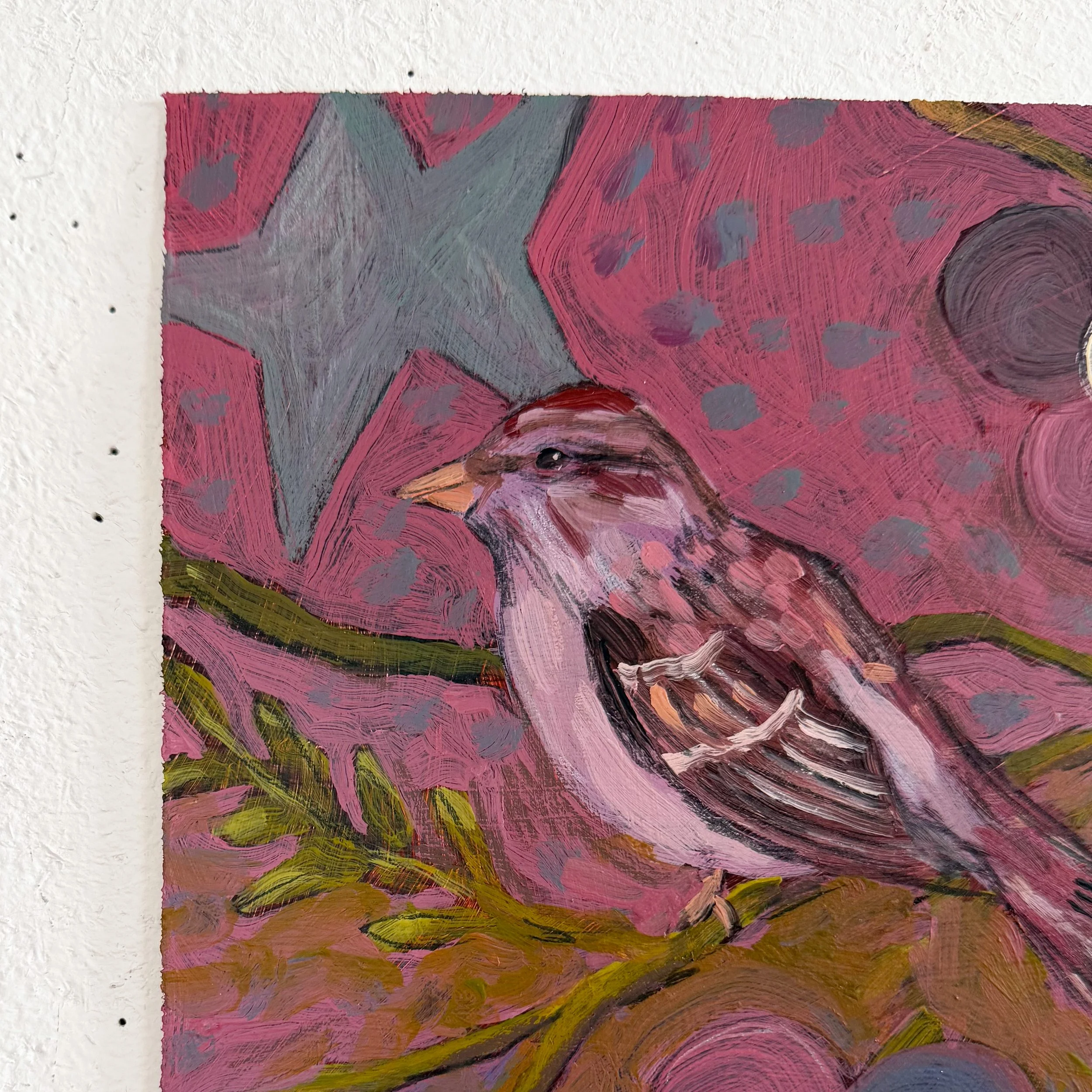 birdstudy4_2.JPG