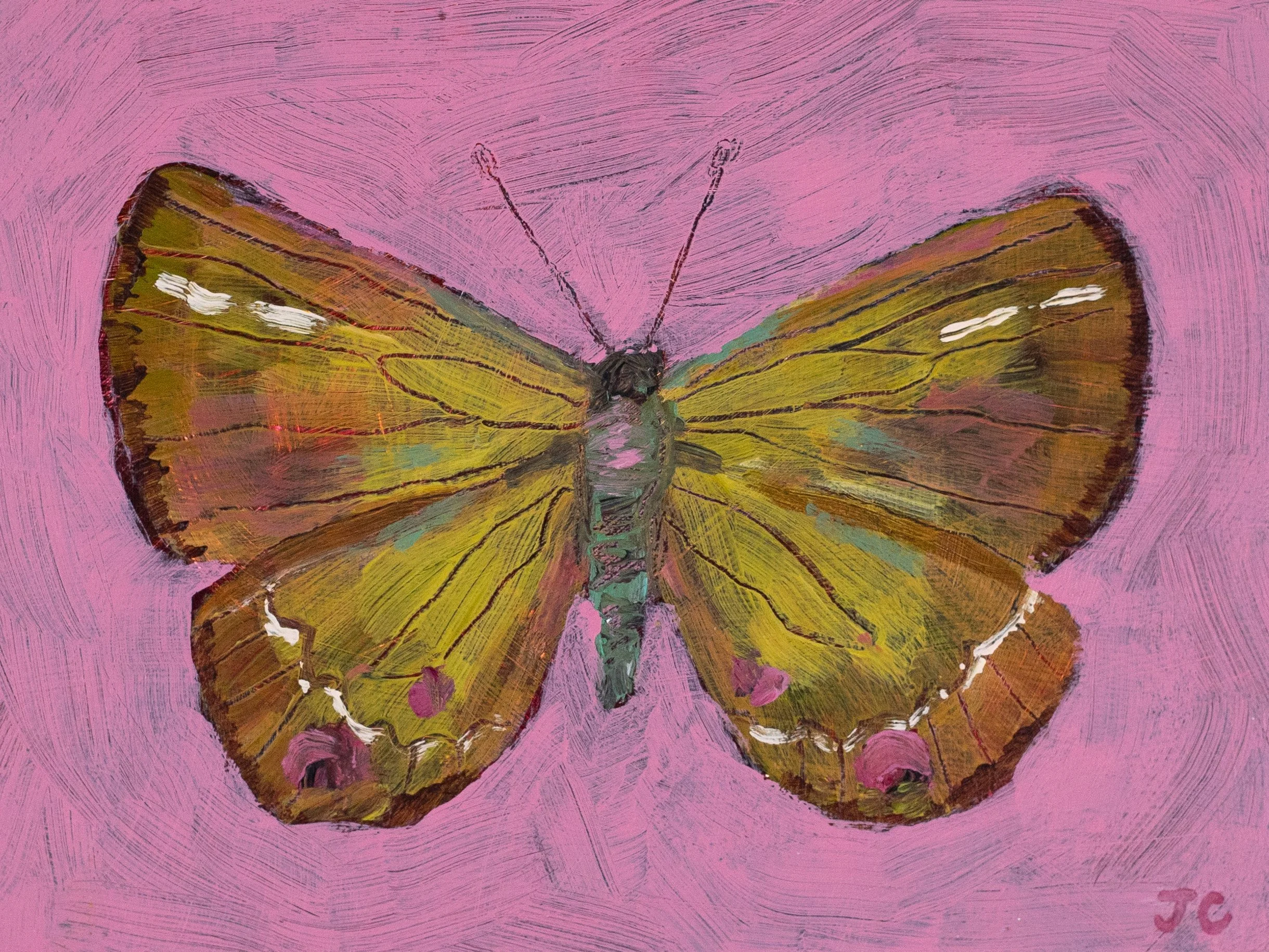 art26_20.jpg