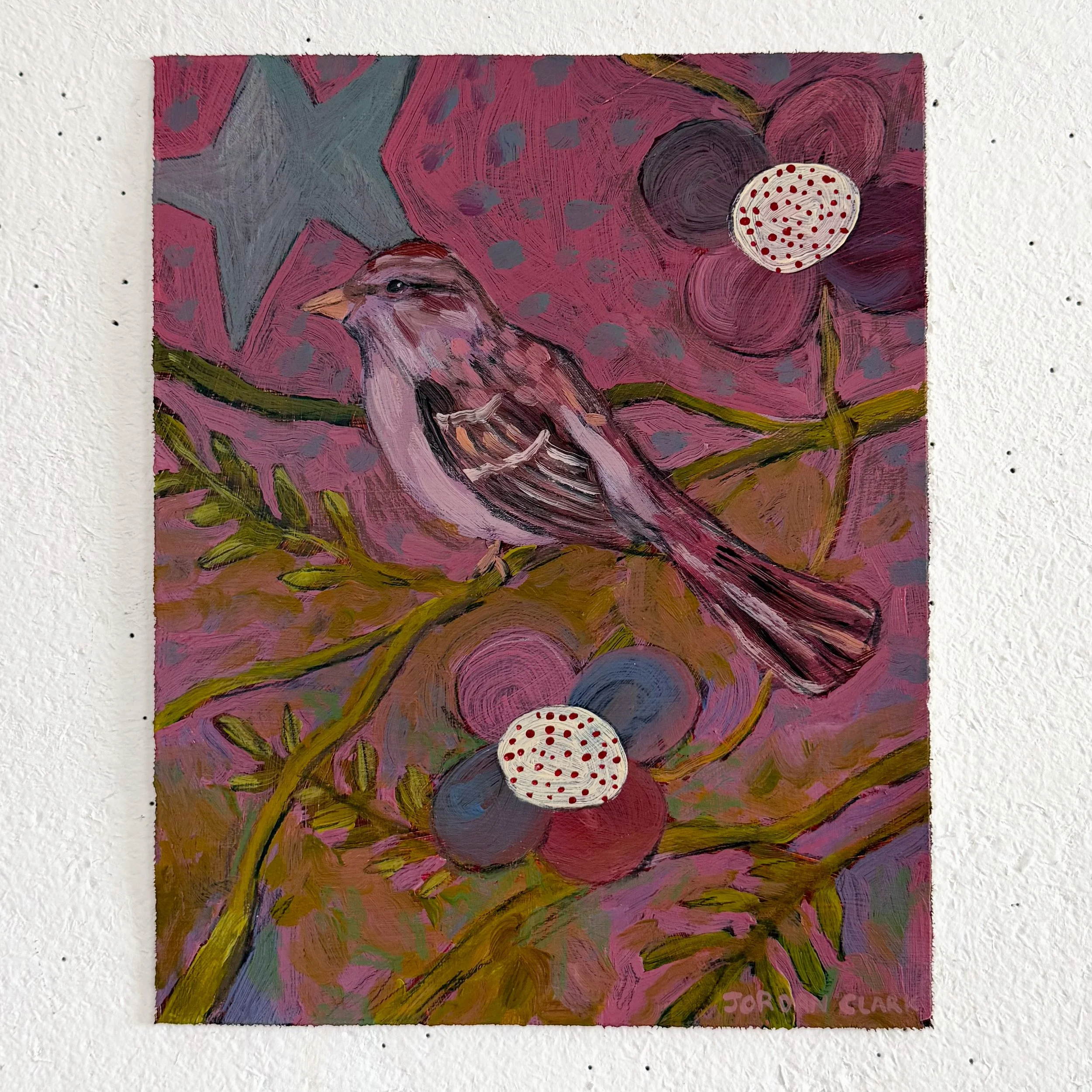 birdstudy4_5.JPG