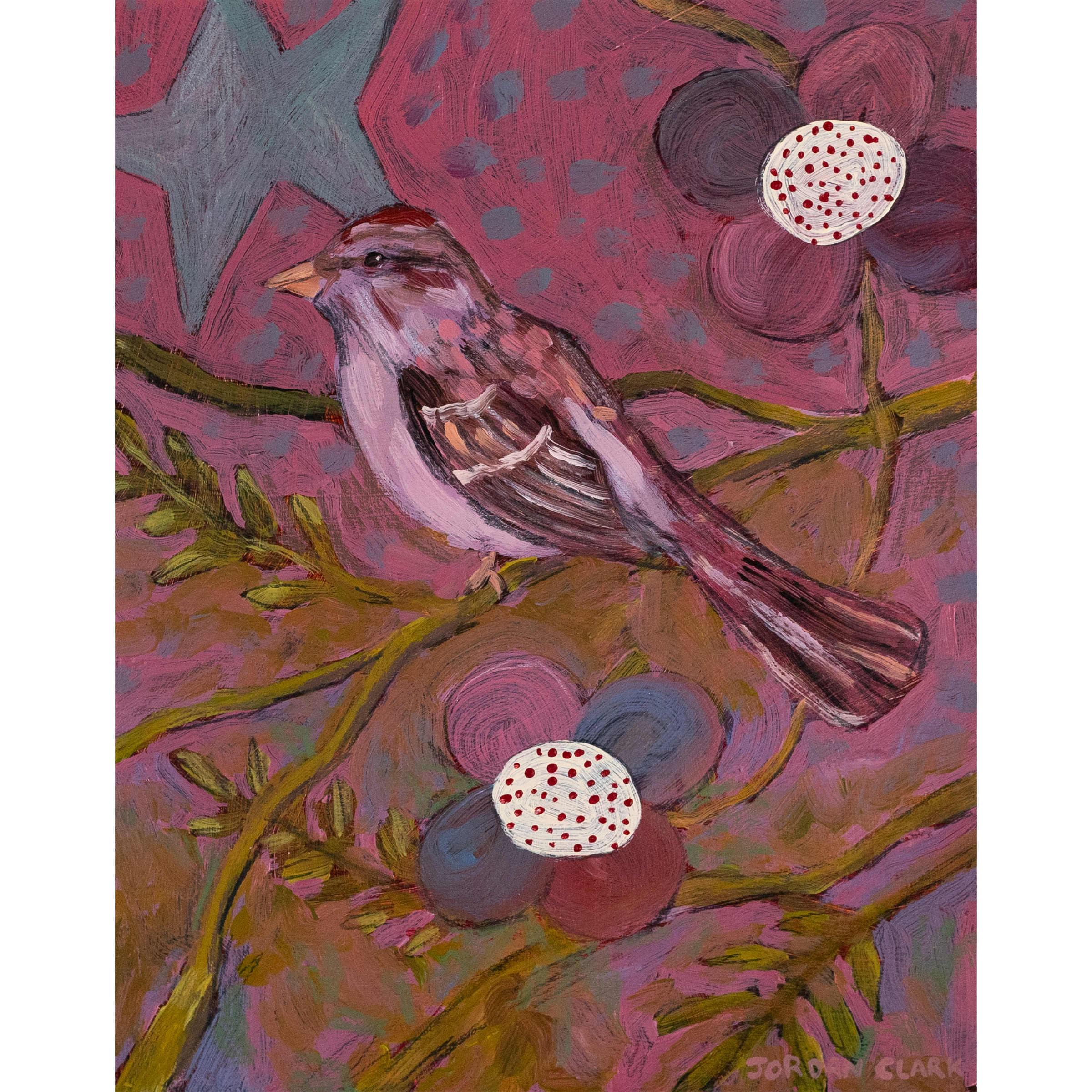 birdstudy4_1.png