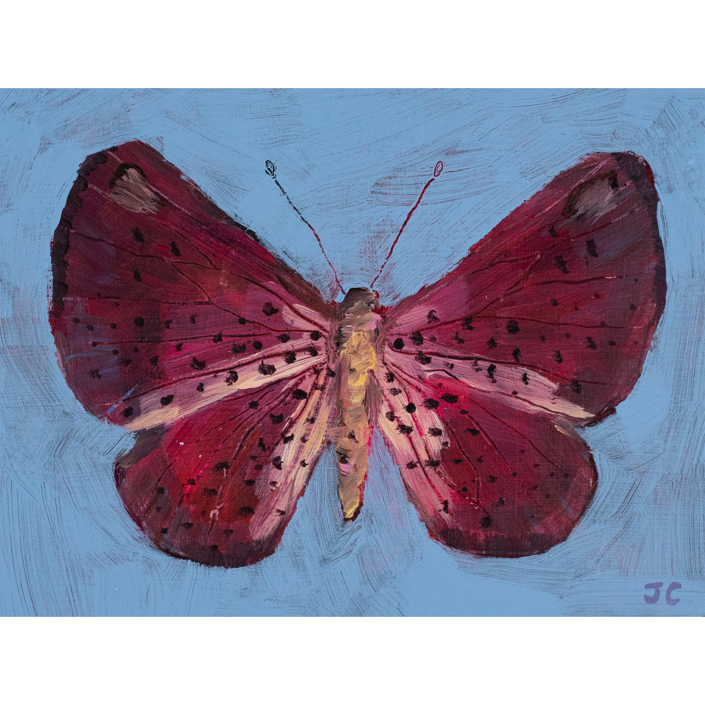 wingsstudy1_1.png