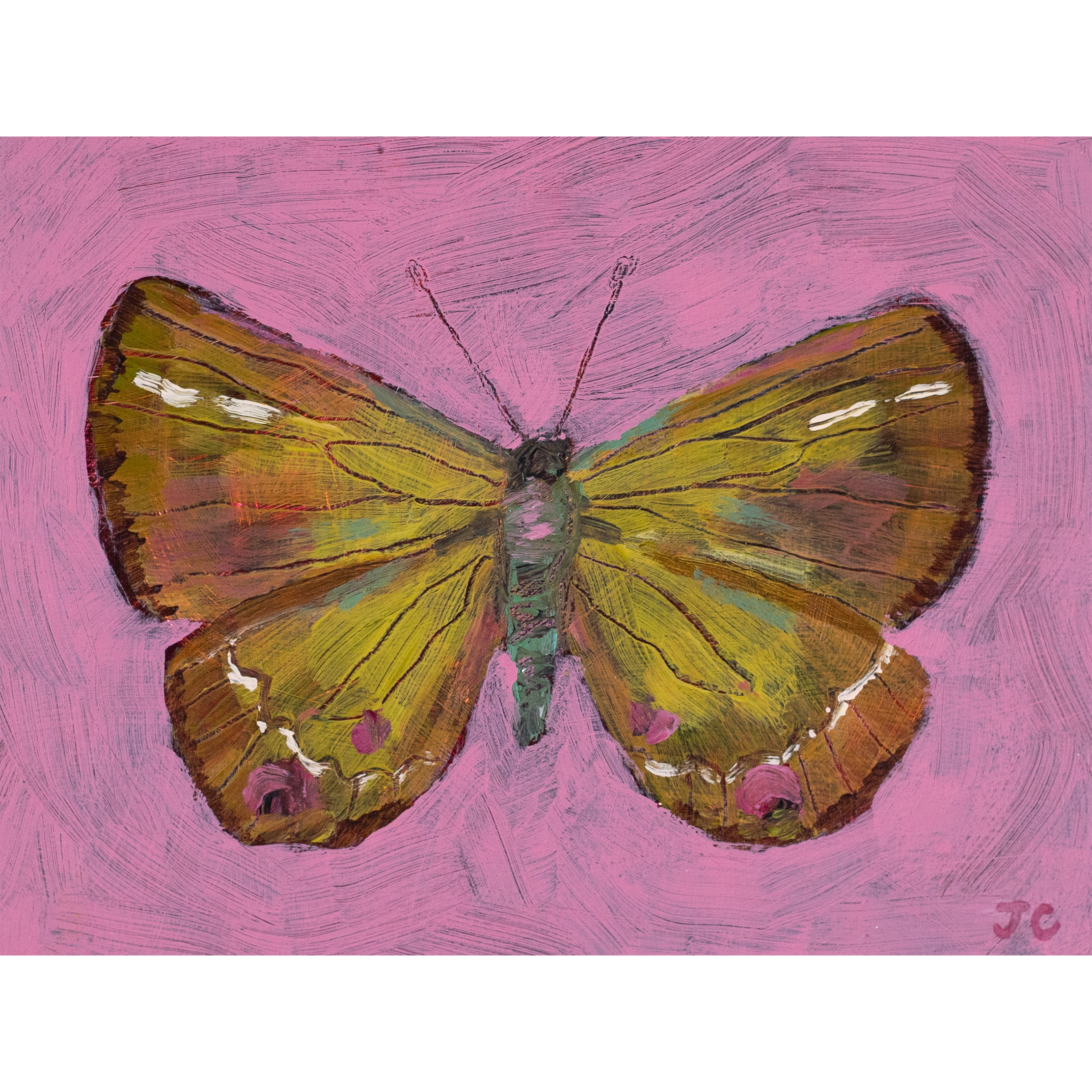 wingstudy2_1.png