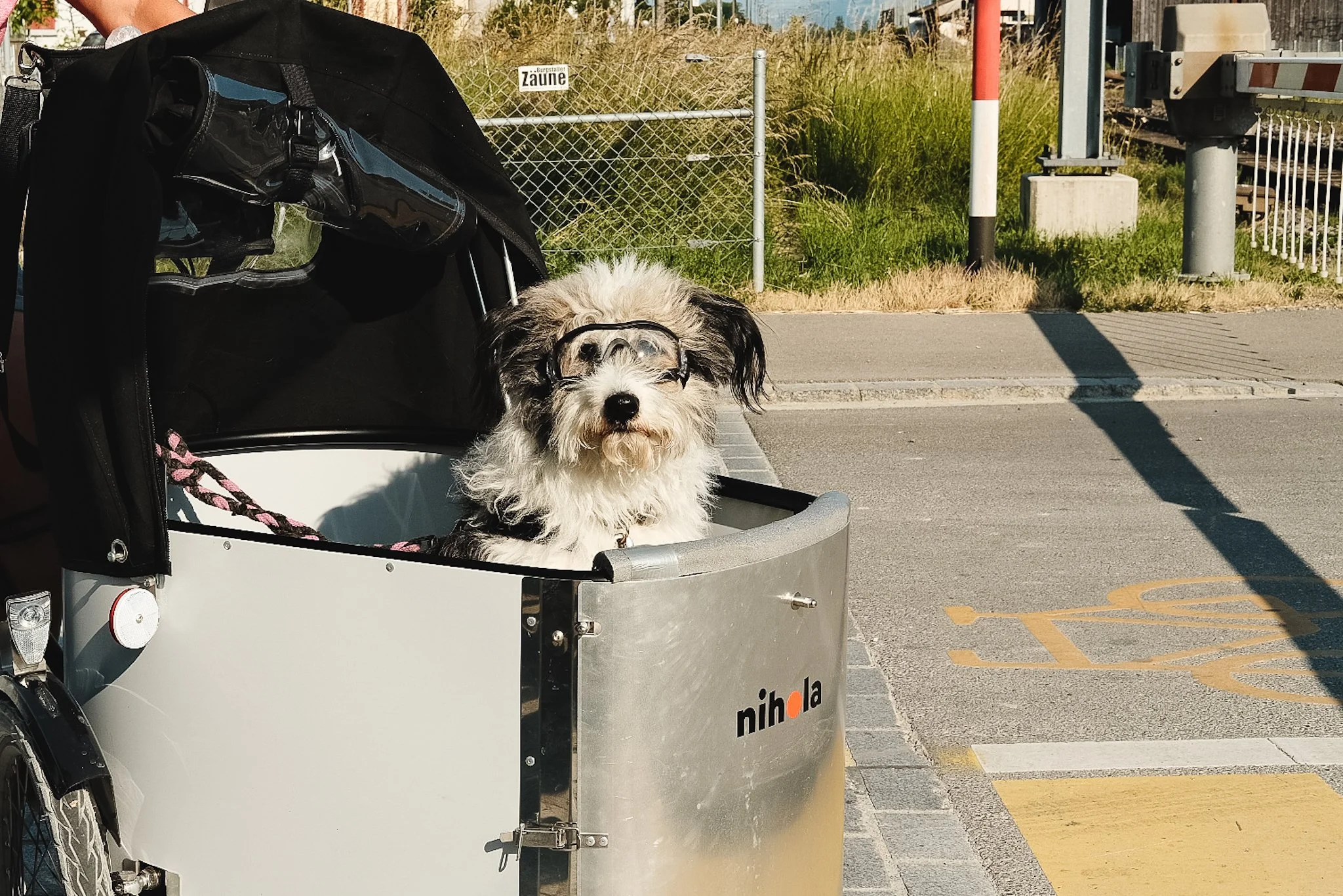 Alpenkaas - [al-pa-cas]