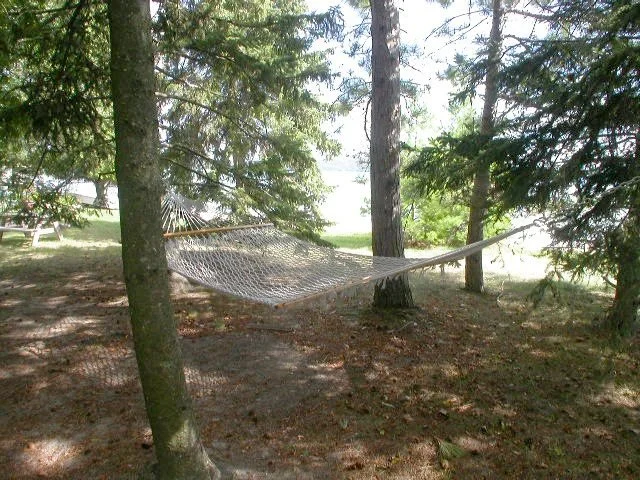 hammock2.jpg