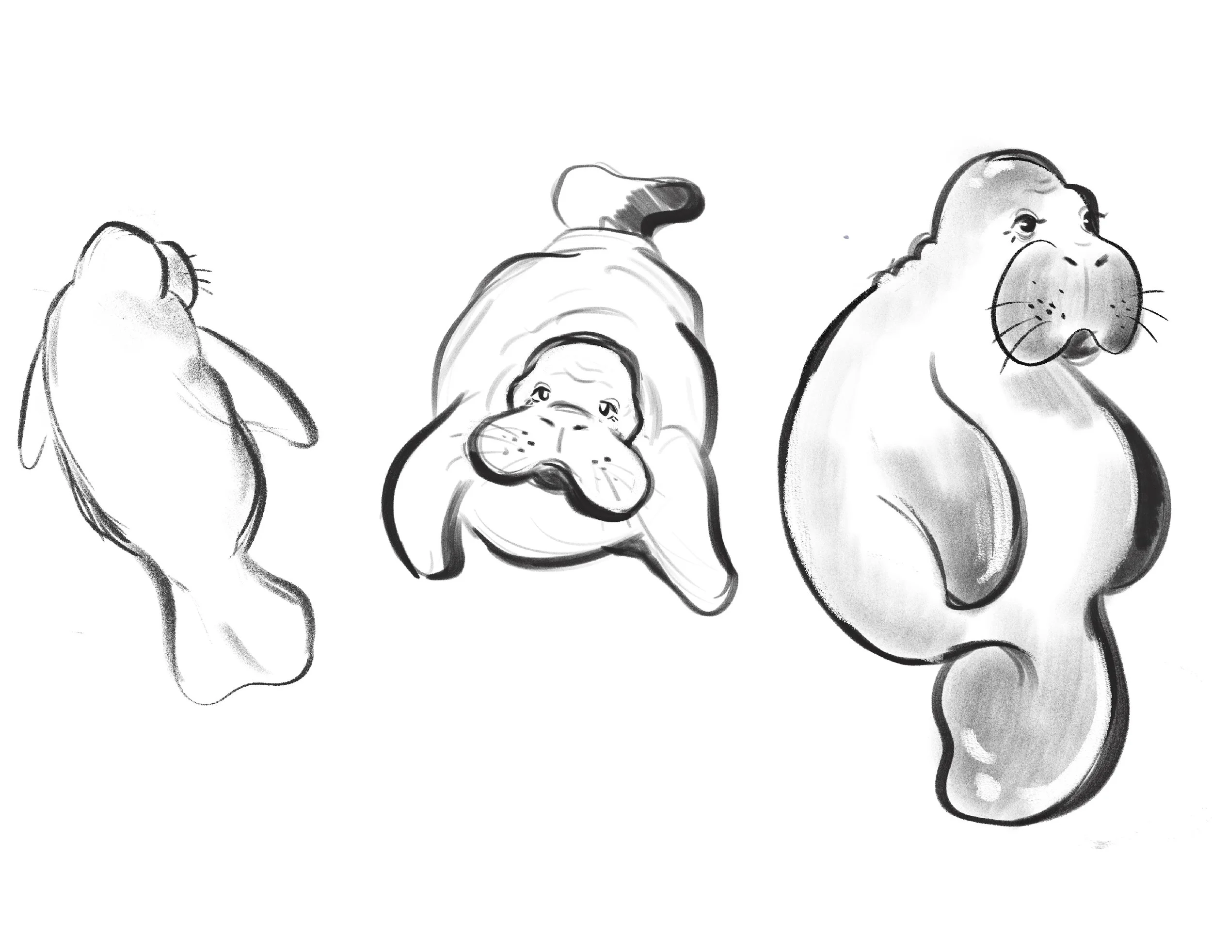 Untitled_Artwork 334.jpg