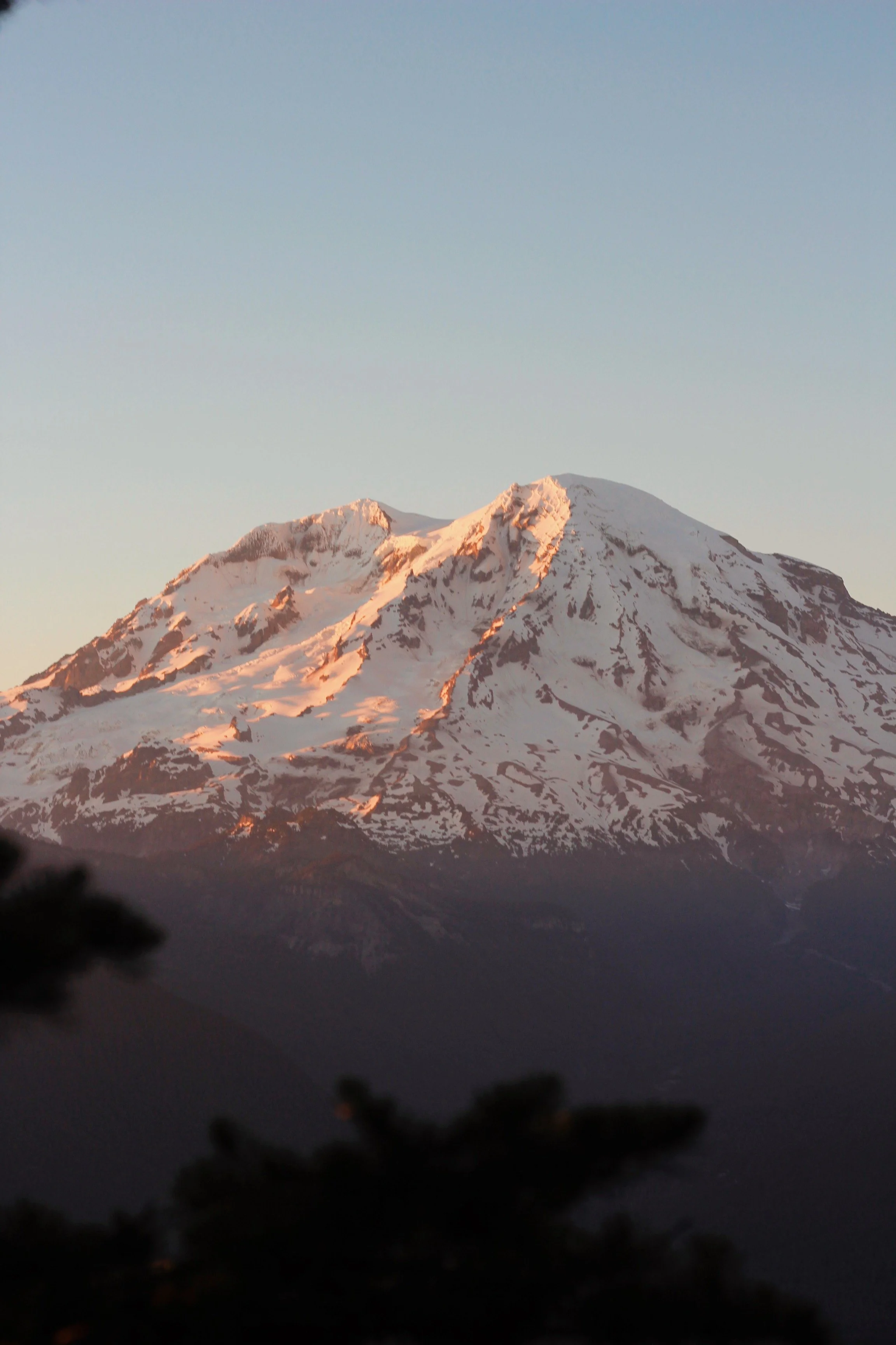 Snow-capped mountain during sunset with pinkish lighting, dark forest in foreground.