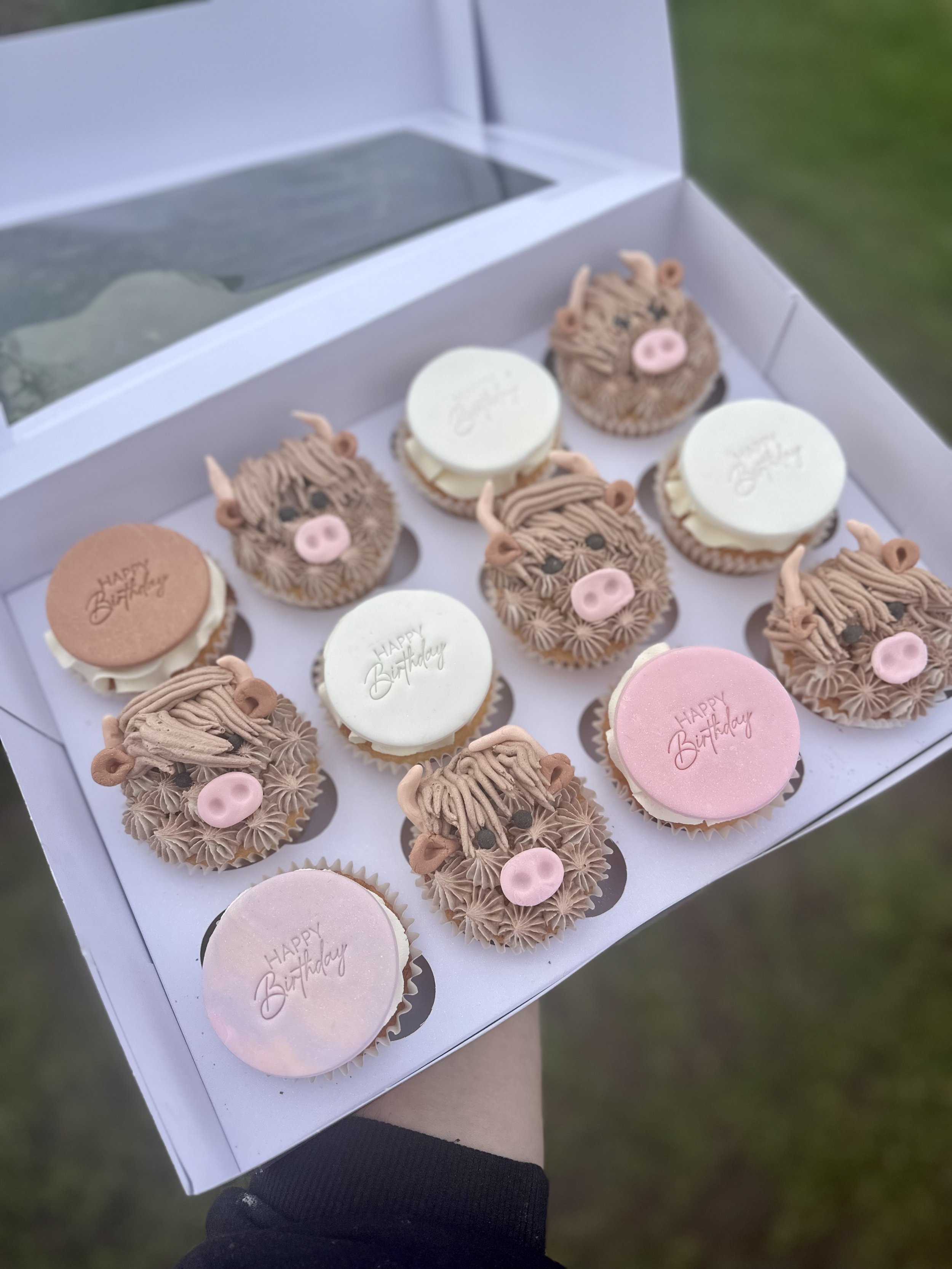 Highland Cow themed Birthday Cupcakes