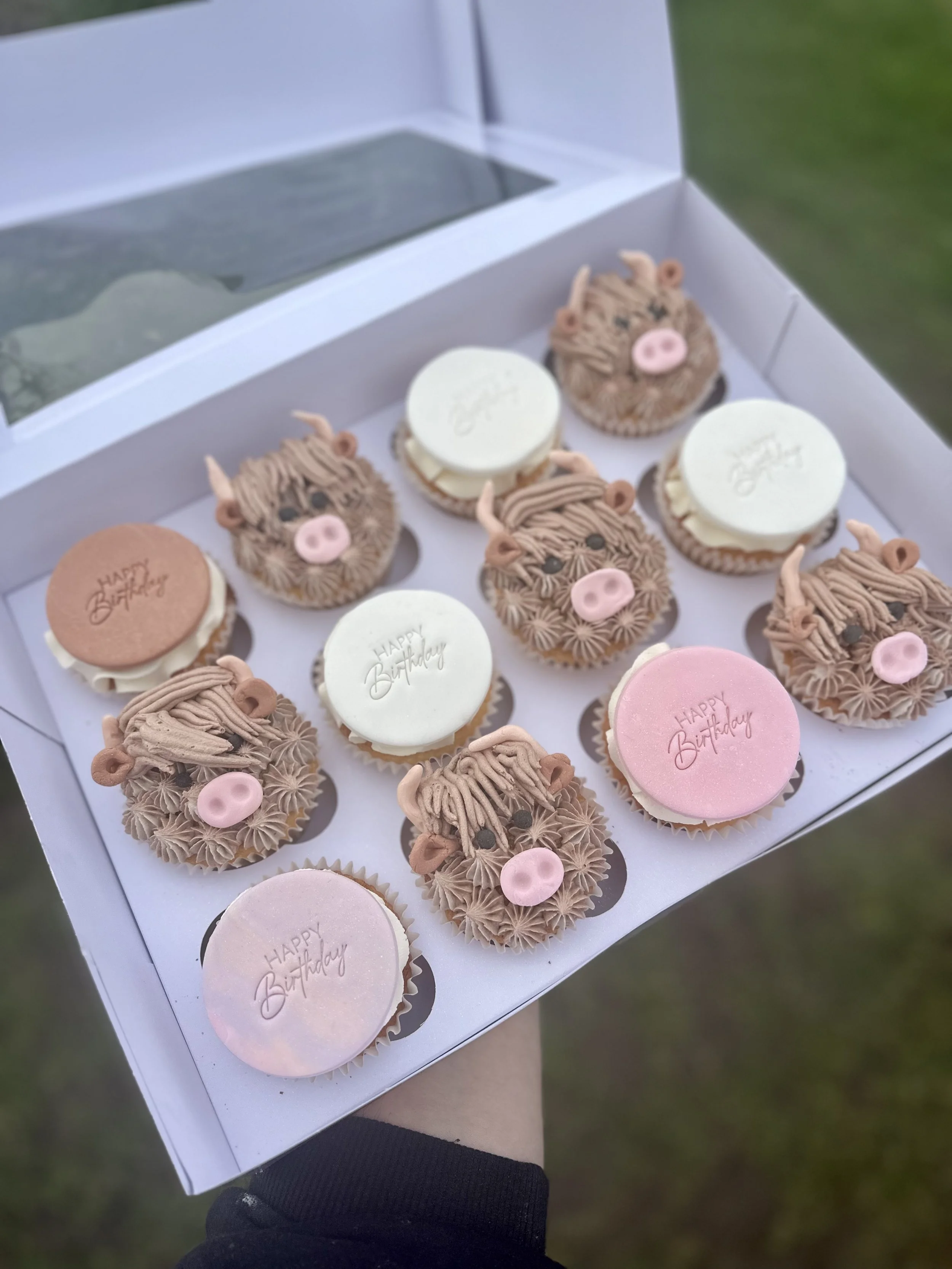 A box of cupcakes decorated with Highland Cow faces made of pink and brown frosting, with some cupcakes having 'Happy Birthday' messages on white, pink, and brown fondant topped with Cow noses and ears.