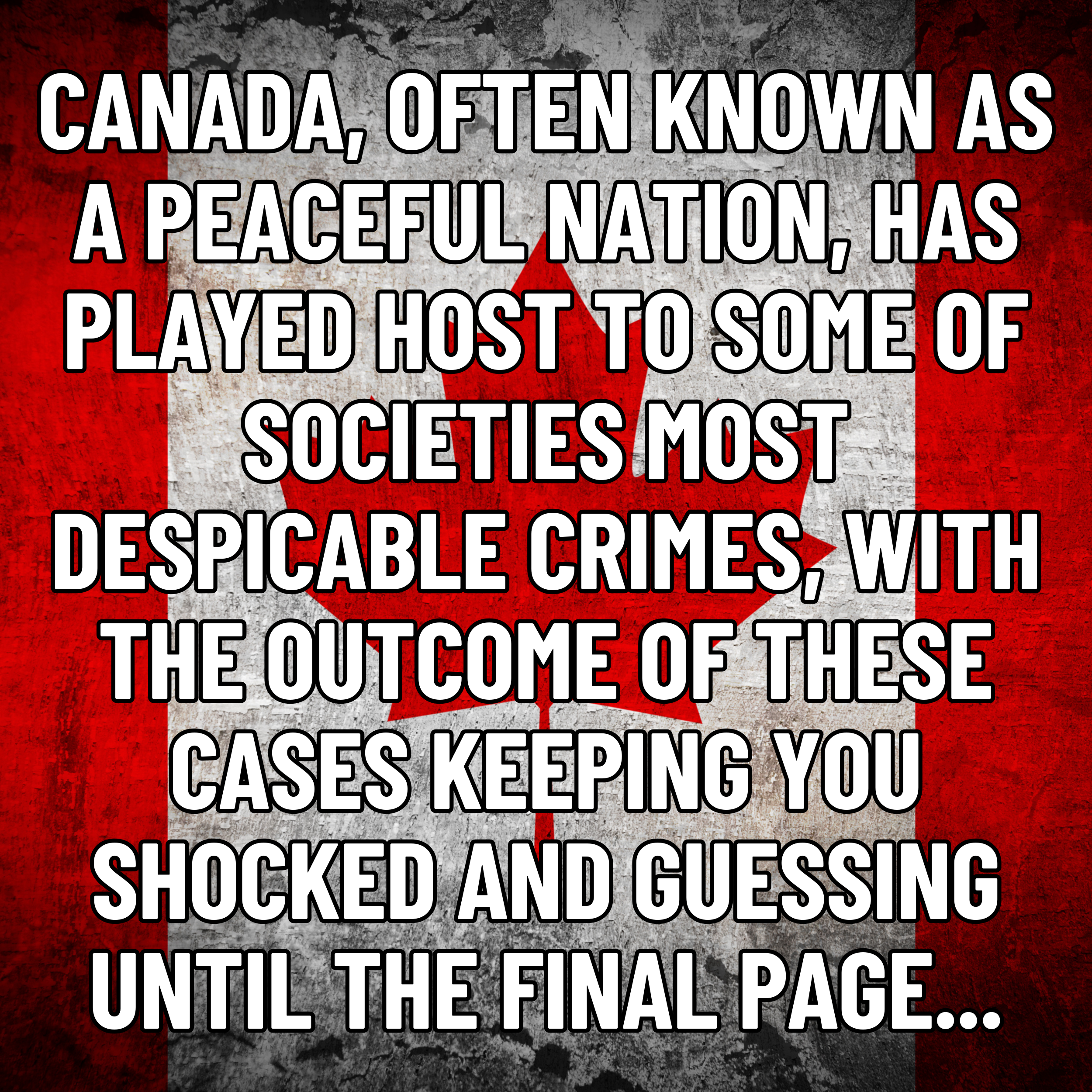 Squarespace website images  - 2026-02-22T122144.970.png