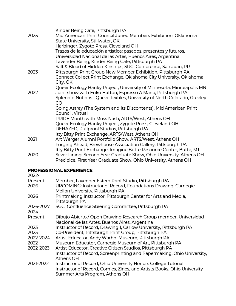 fio avocado CV page 2