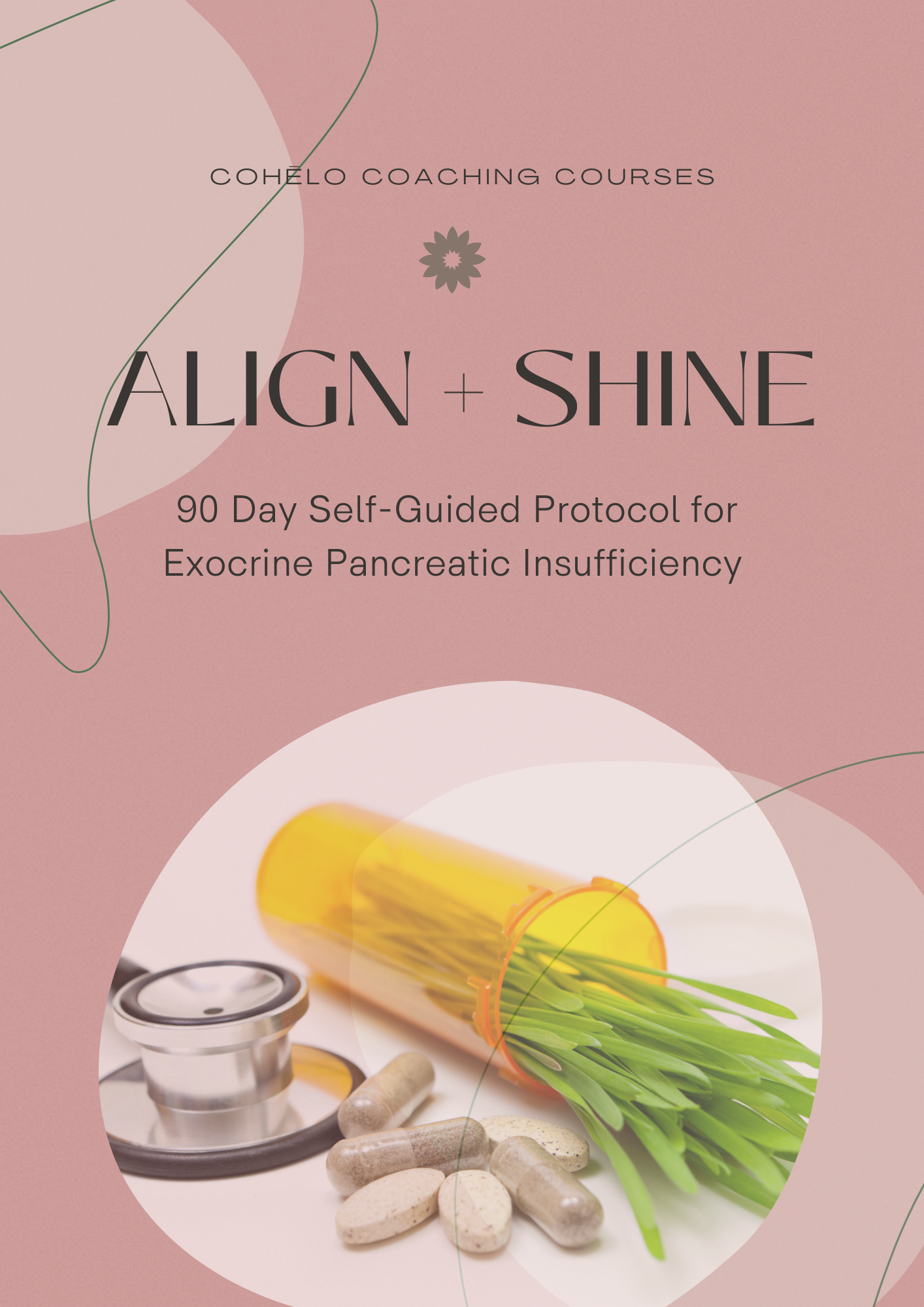 Align + Shine Workbook - 1.png