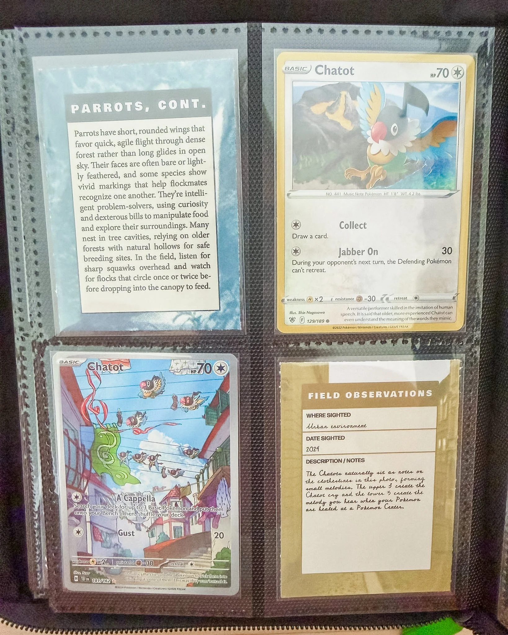 Pokémon fossil field guide binder in Vault X 4 pocket binder