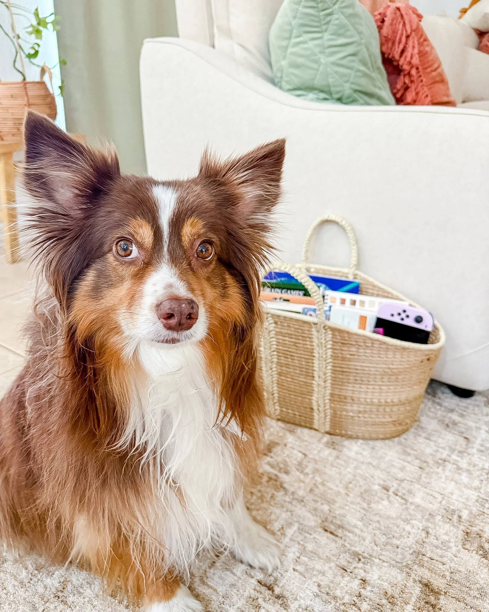 Whats in my analog basket?