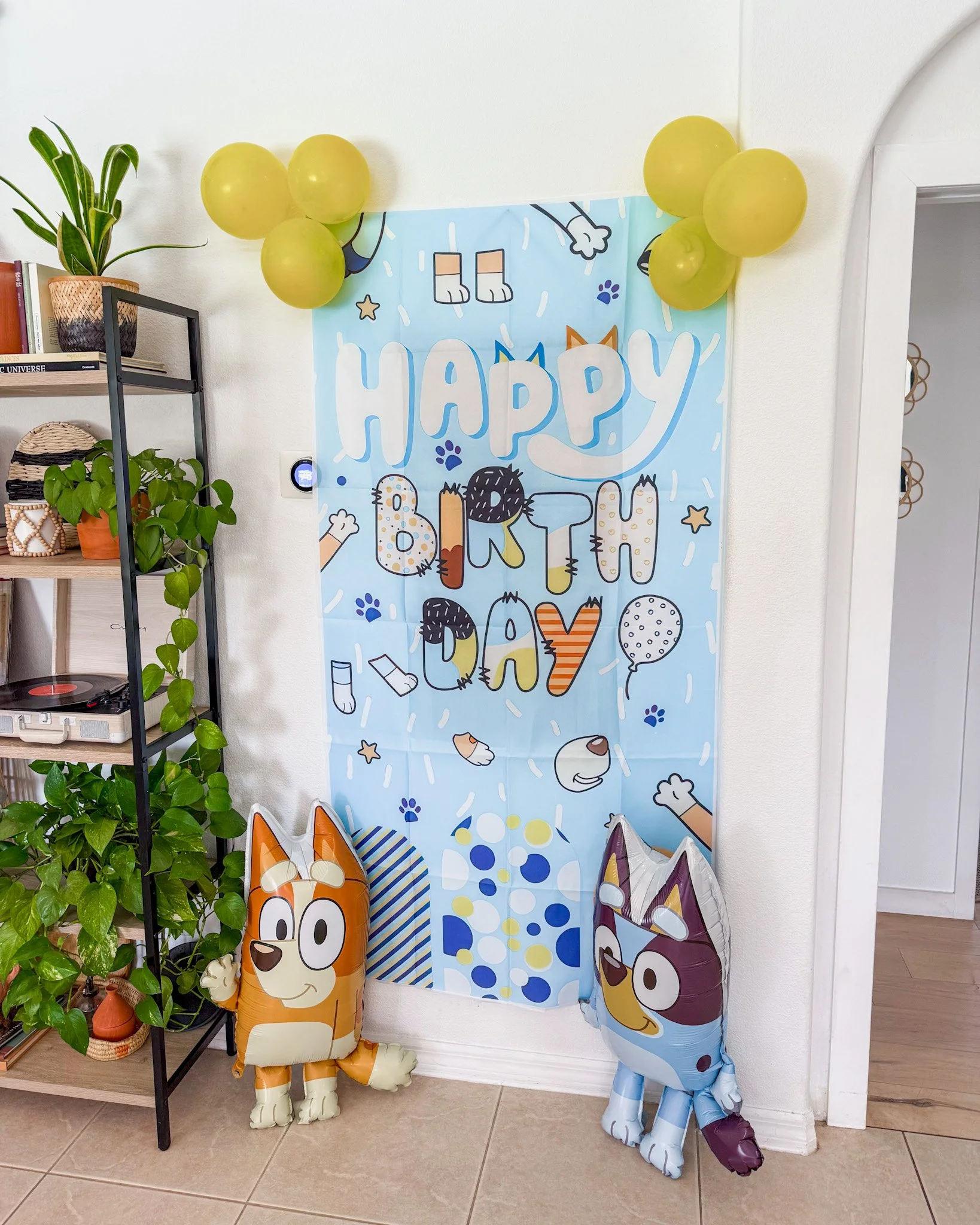 Bluey Themed Pool Party Birthday: Easy Decor &amp; Activity Ideas