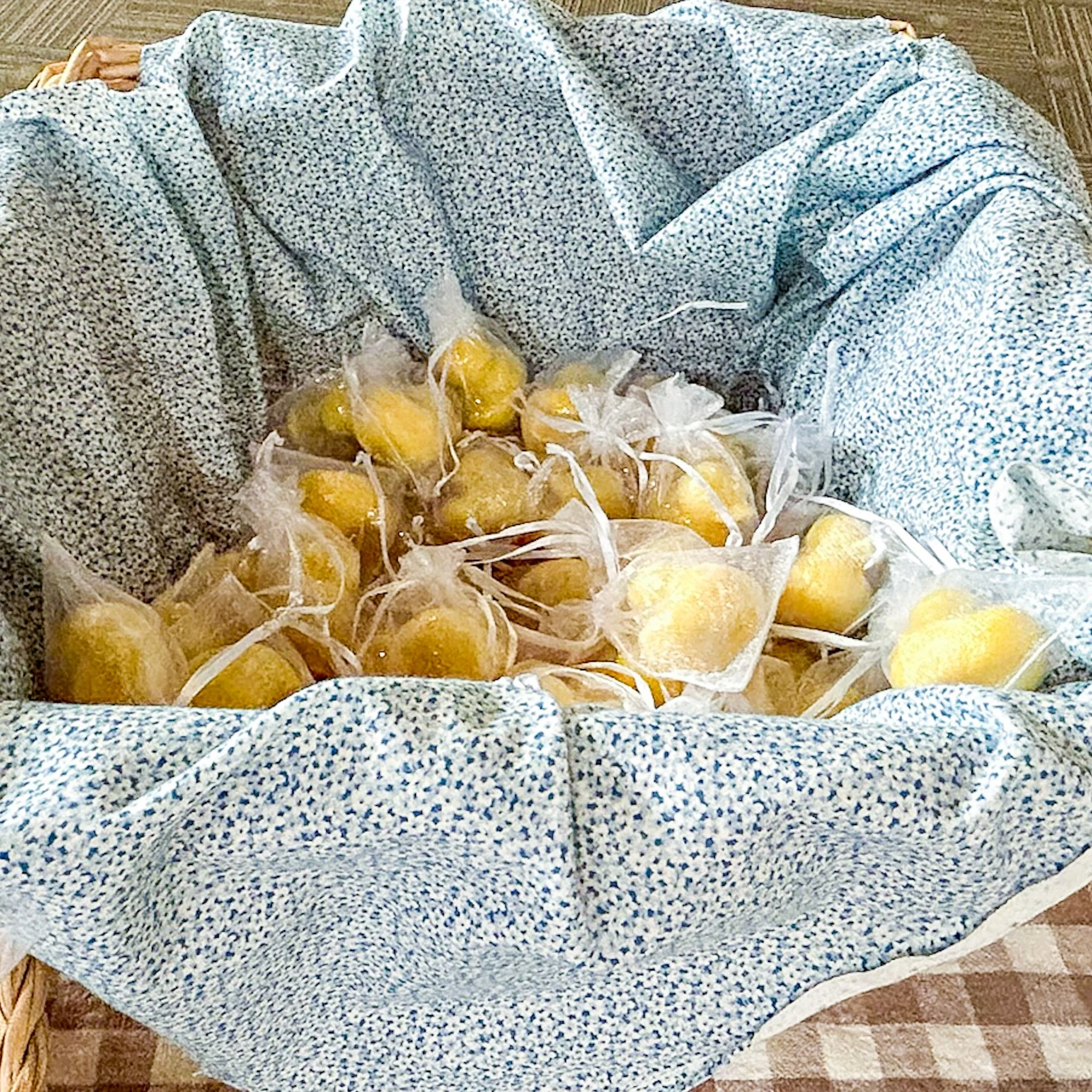 Plan the cutest ONE Silly Goose first birthday party! Get ideas for decor, food, desserts, shopping lists, and a full checklist for a perfect celebration.