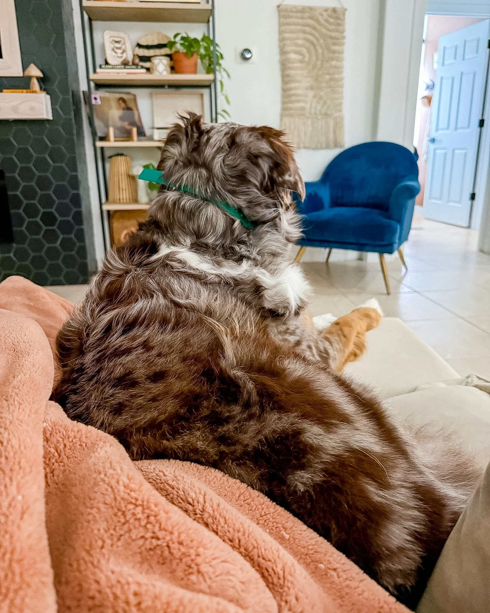 Oversized modern reclining couch review