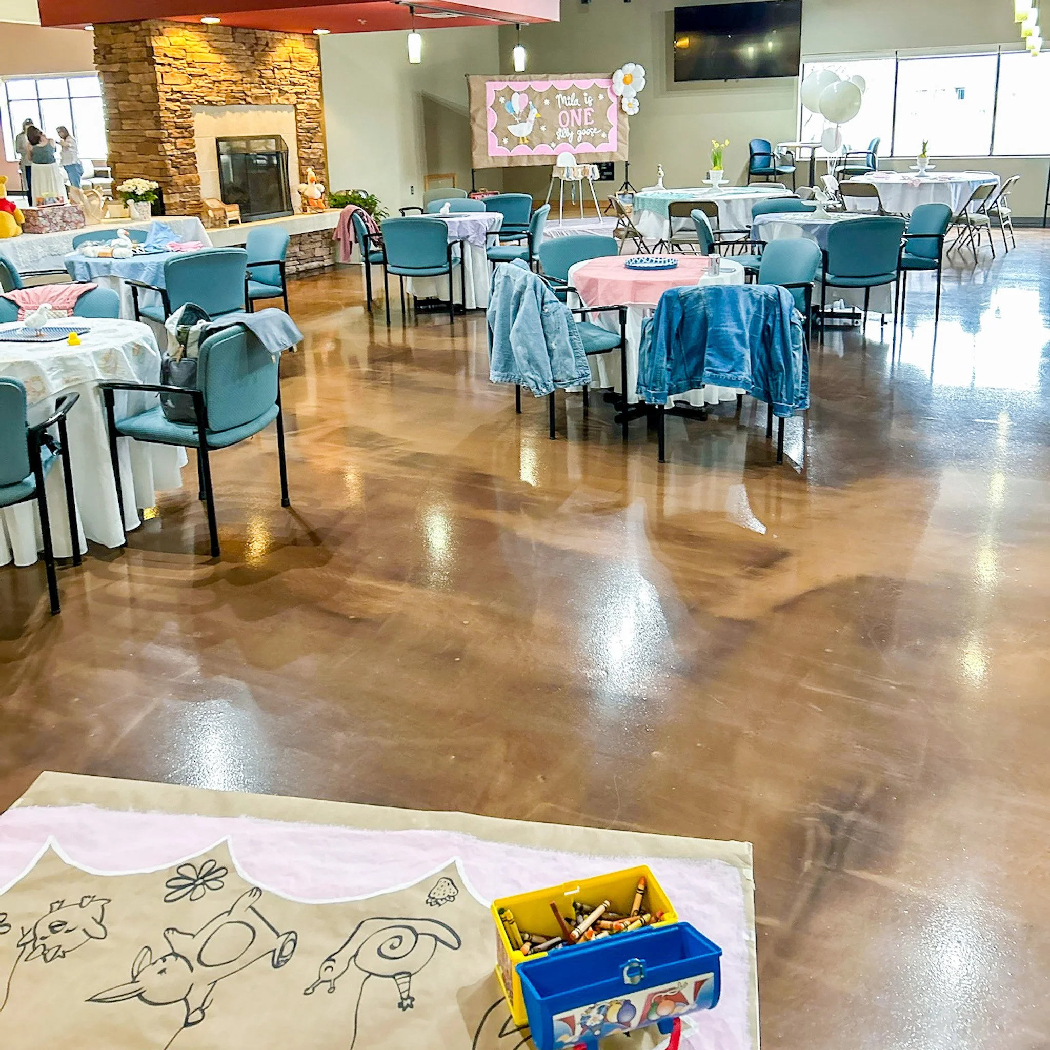 Plan the cutest ONE Silly Goose first birthday party! Get ideas for decor, food, desserts, shopping lists, and a full checklist for a perfect celebration.