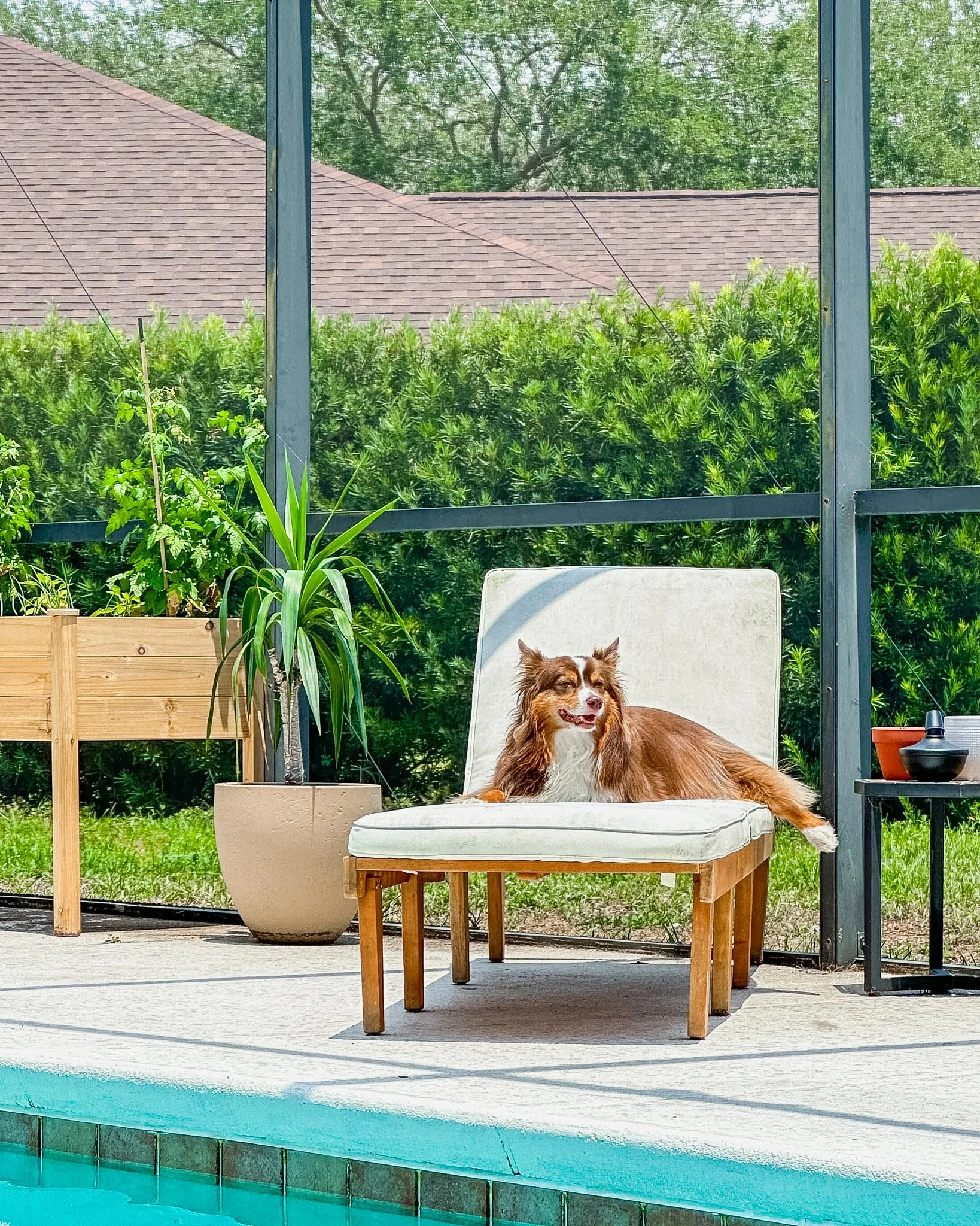 Discover my 8 favorite patio essentials for Florida living, from poolside organization and garden must-haves to cooling solutions and outdoor lighting.
