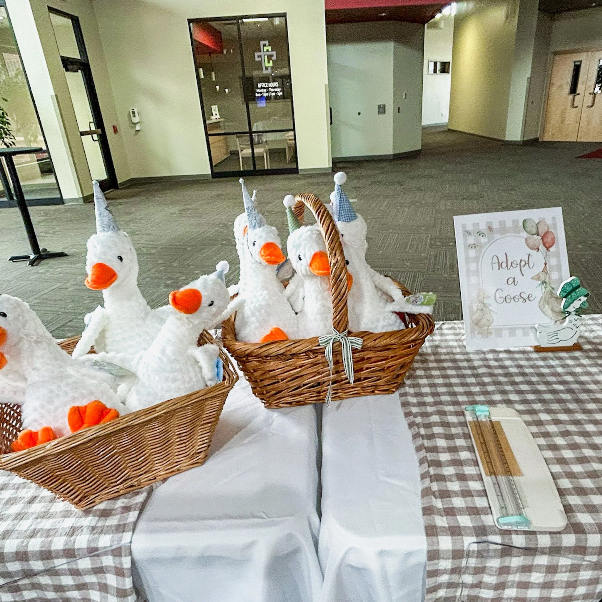 Plan the cutest ONE Silly Goose first birthday party! Get ideas for decor, food, desserts, shopping lists, and a full checklist for a perfect celebration.