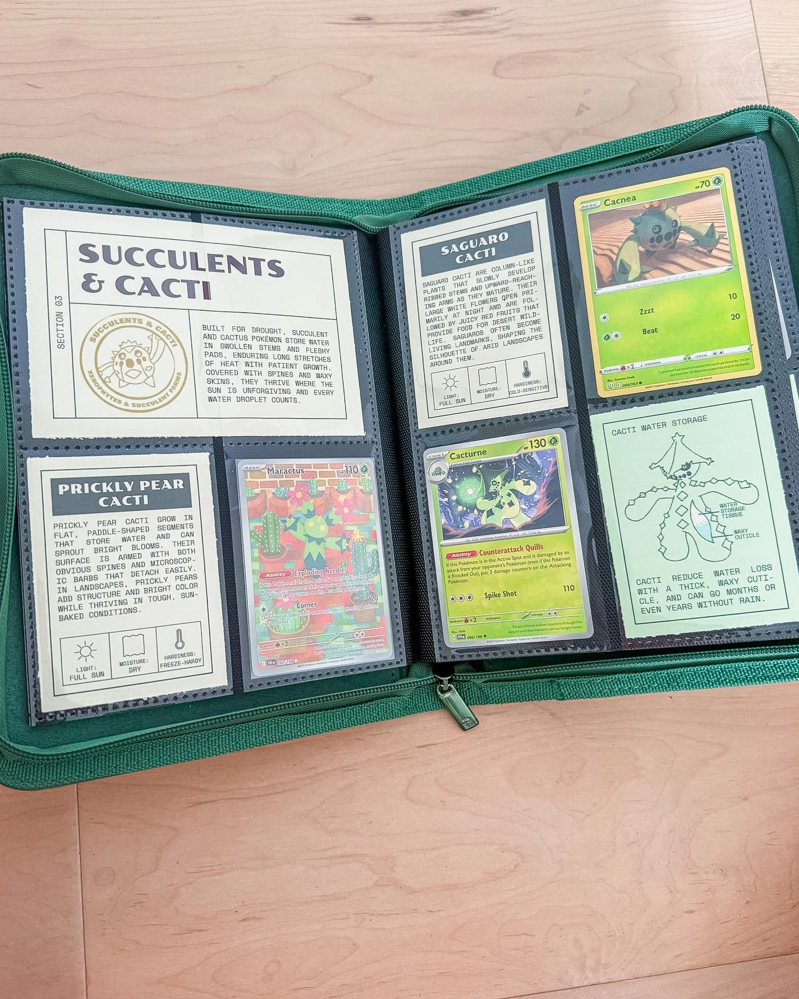 Pokémon fossil field guide binder in Vault X 4 pocket binder