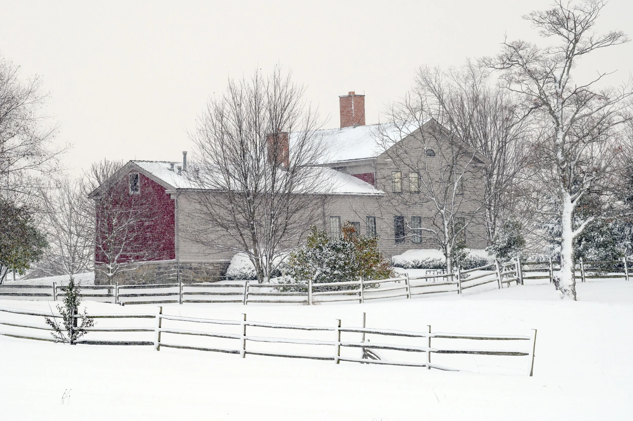 DSC_4653-Edit.jpg