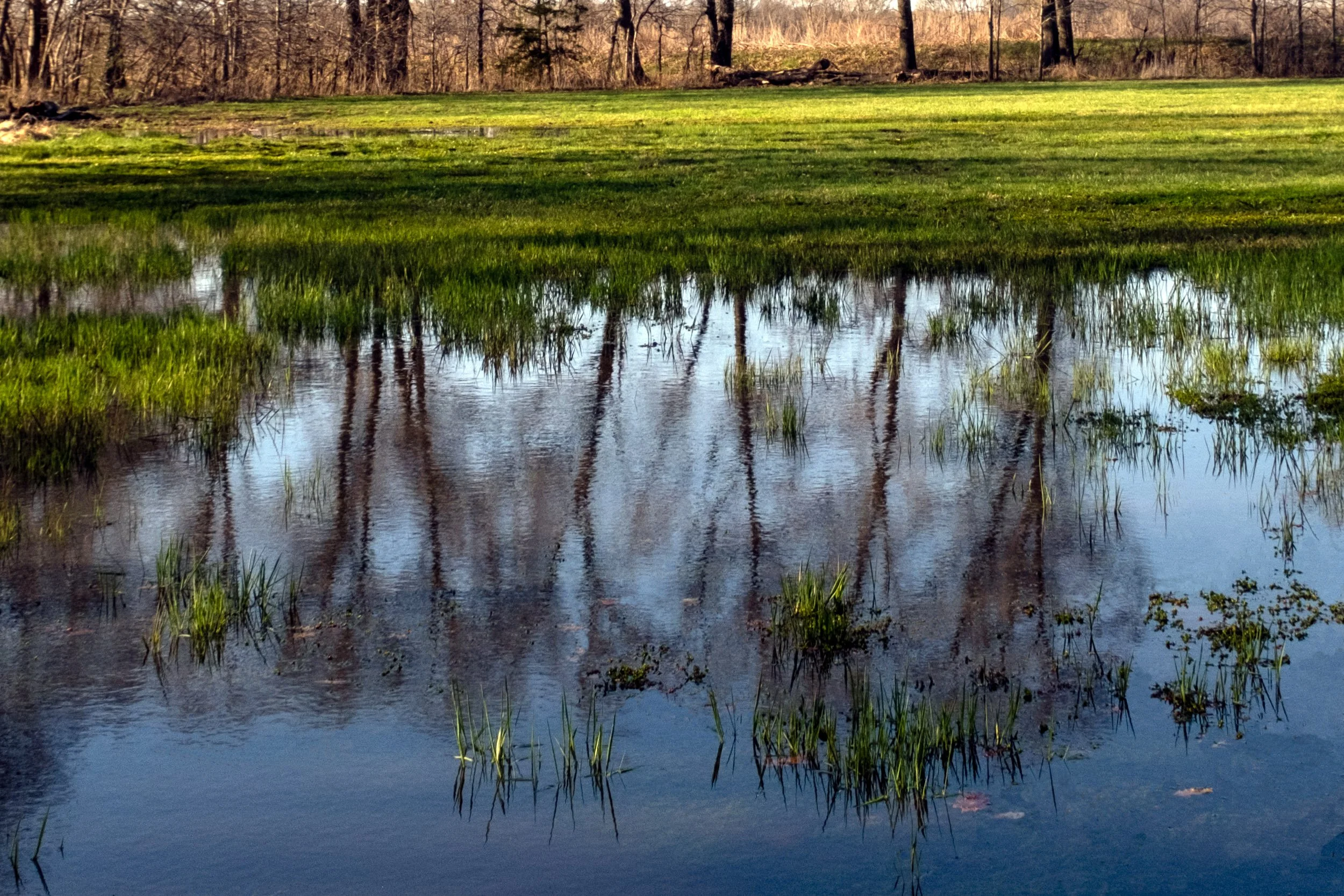 DSCF0808 2-Edit.jpg