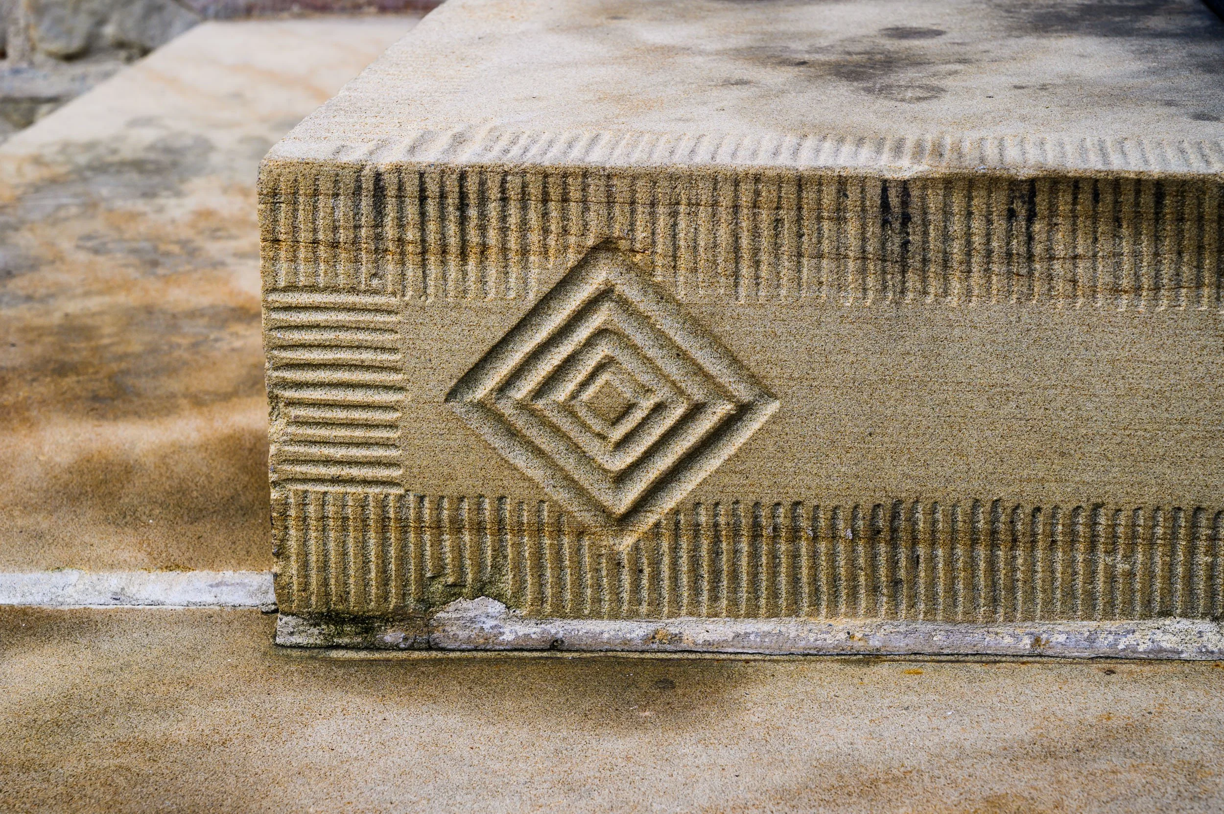 DSC_4225.jpg