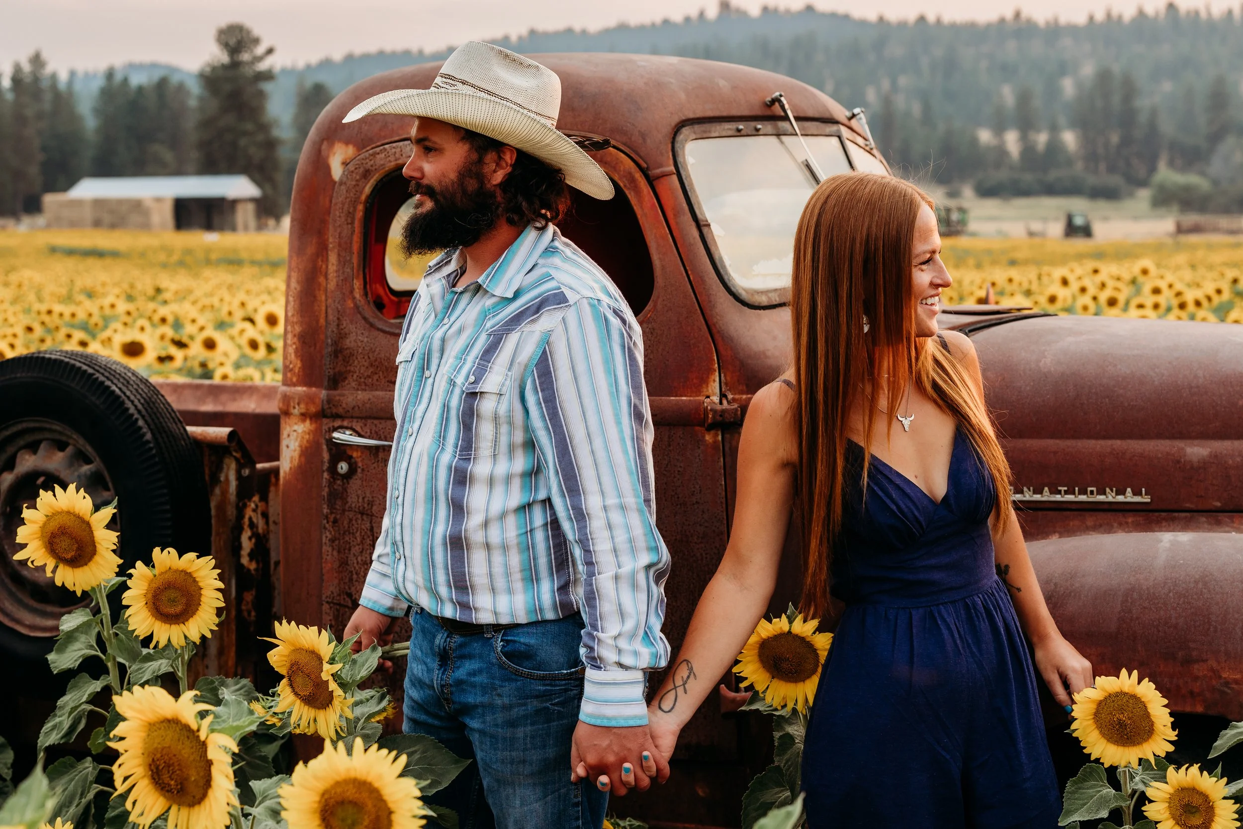 Matthews Sunflower_-17.jpg