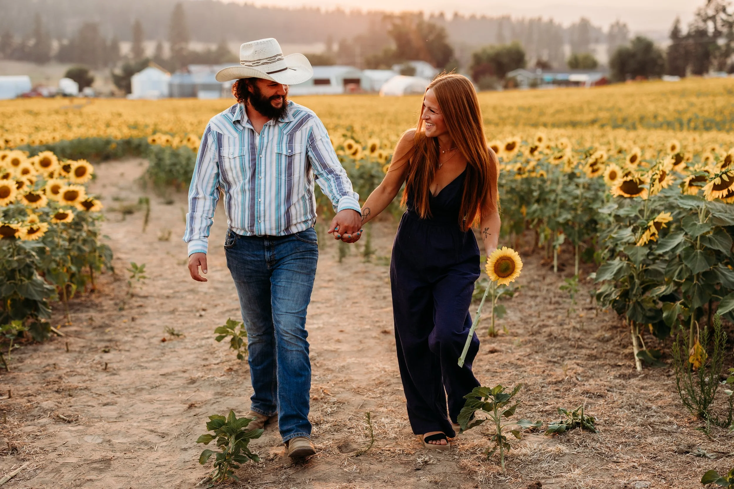 Matthews Sunflower_-10.jpg