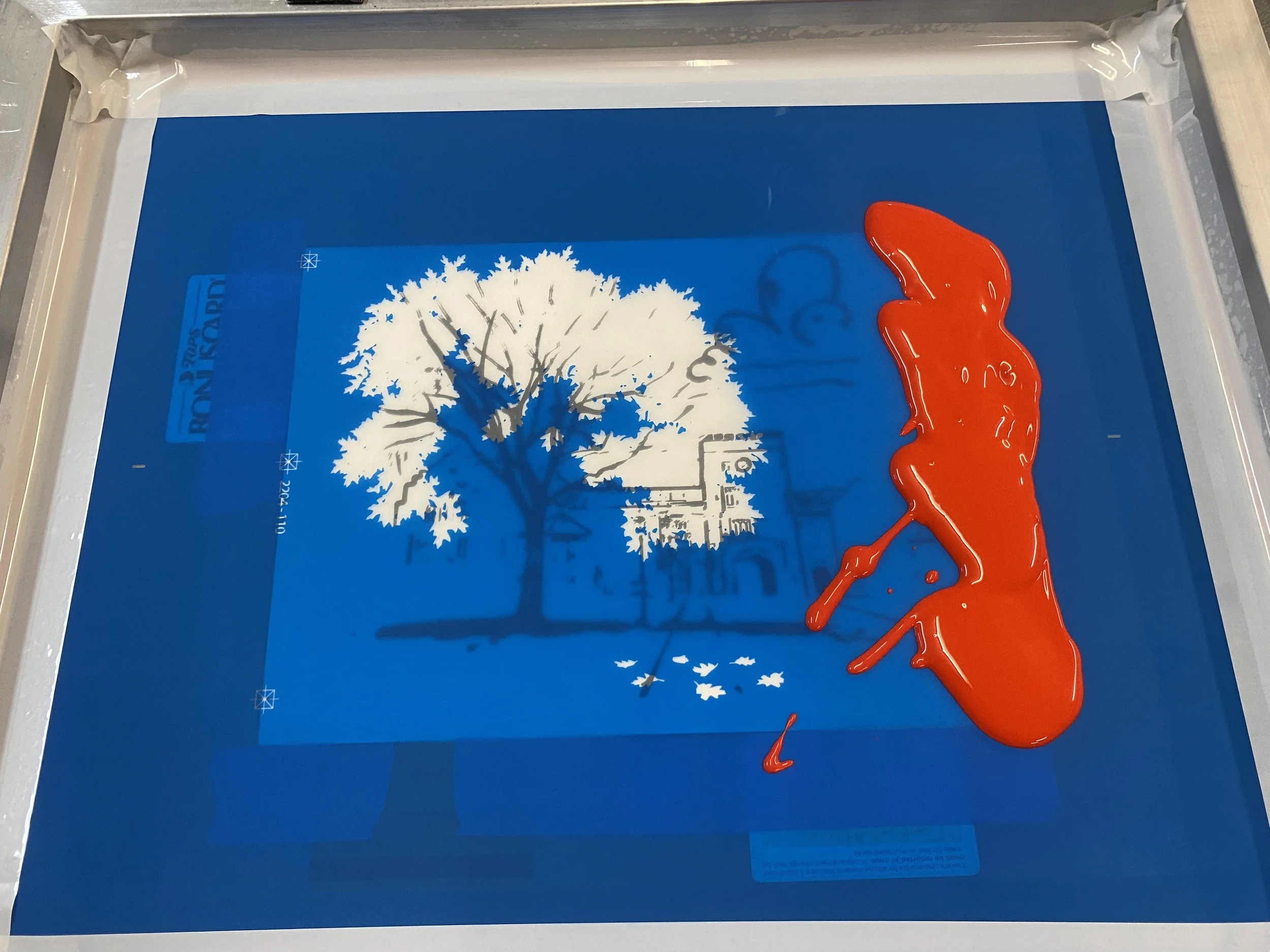 scarlettoakprocess.jpg