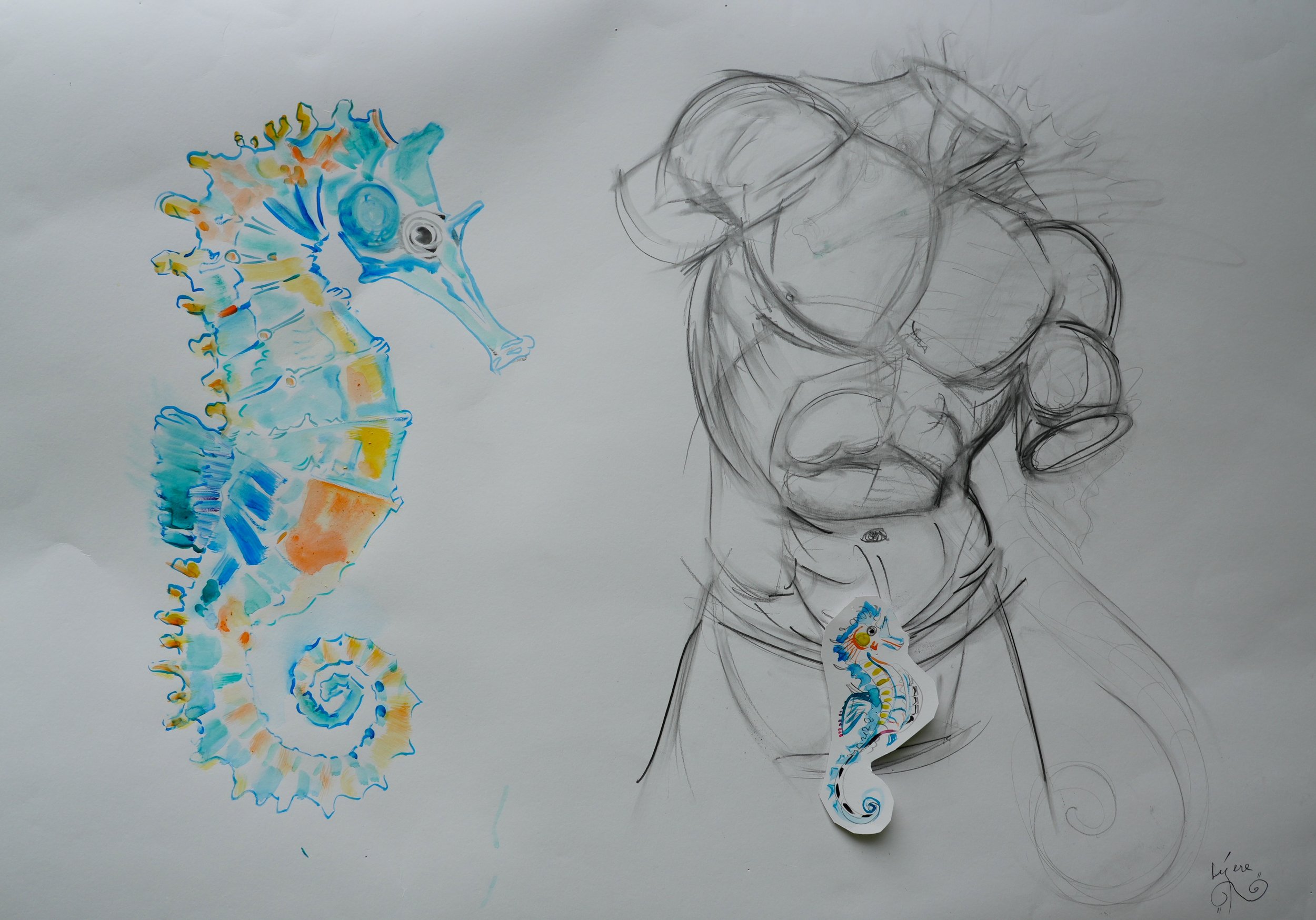 Drawing of a beautiful man and a seahorse in blue, green and sunrise colors refering to the Seahorses that live in the Hudson River and the fact that the male seahorse gives birth.