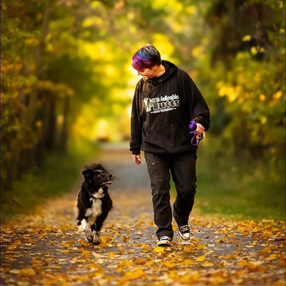 Ashley Kerik - Malleable Mutts Dog Training