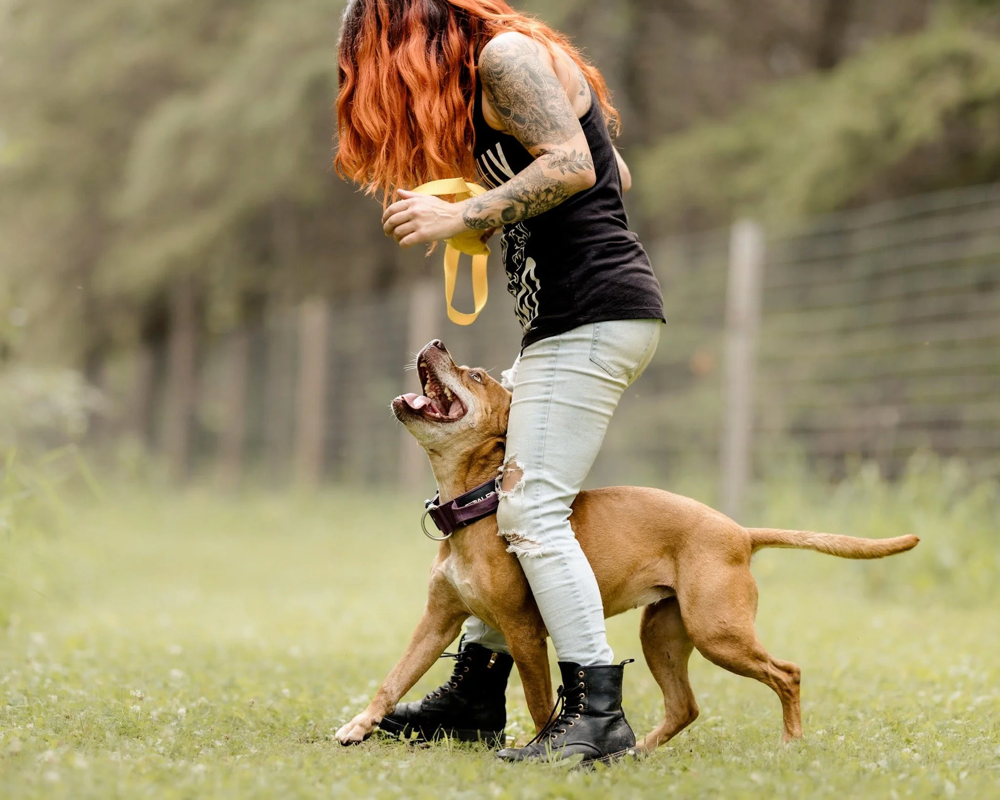 Erin Dibbin - Chaos Canine Company