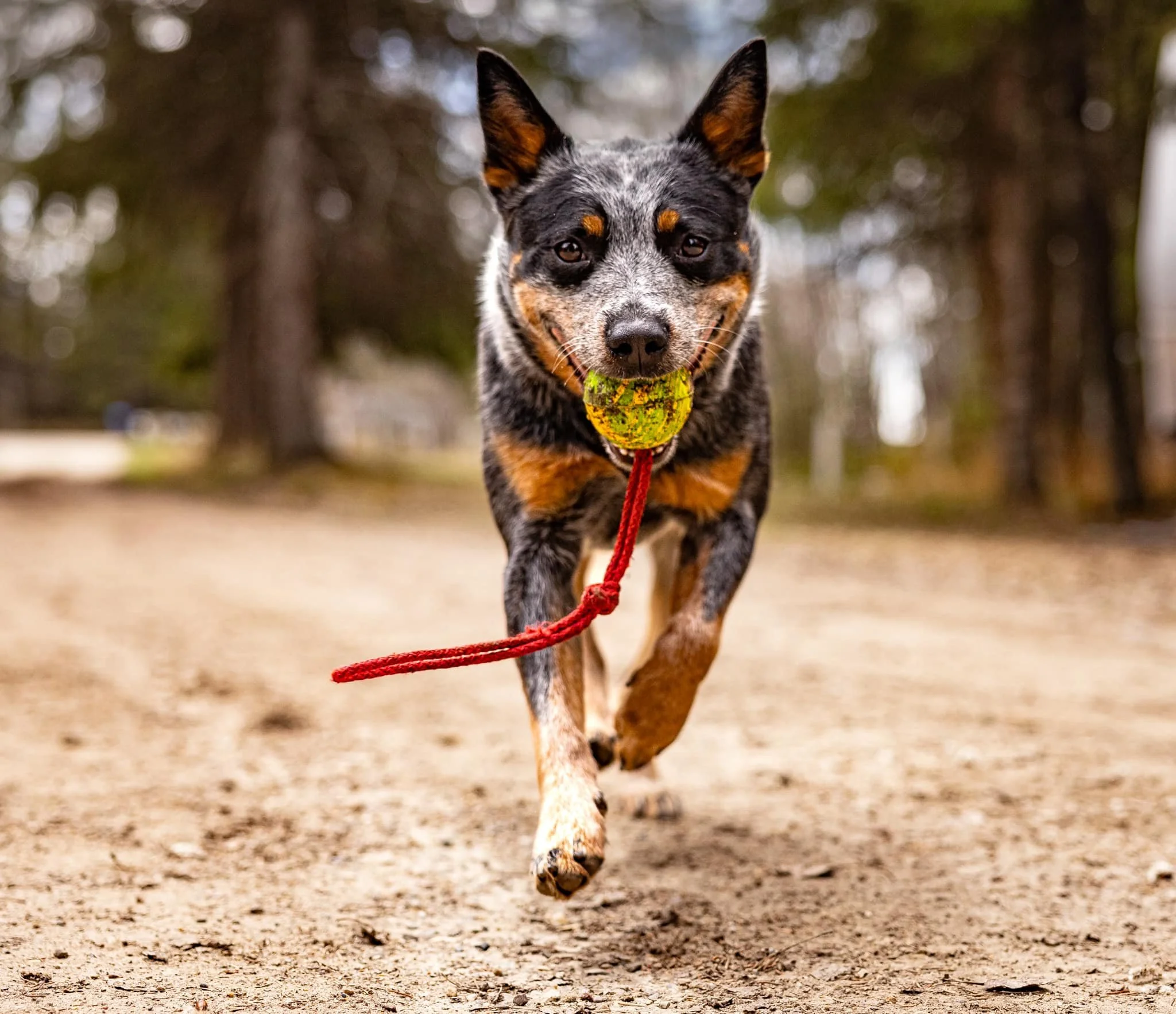 Relationship Retreat 2026