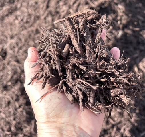Hand holding a handful of garden soil