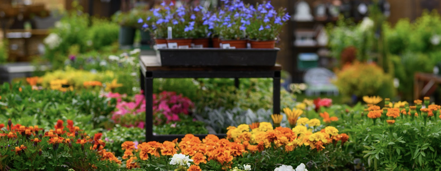 Country Gardens & Nursery, Heber City, Utah