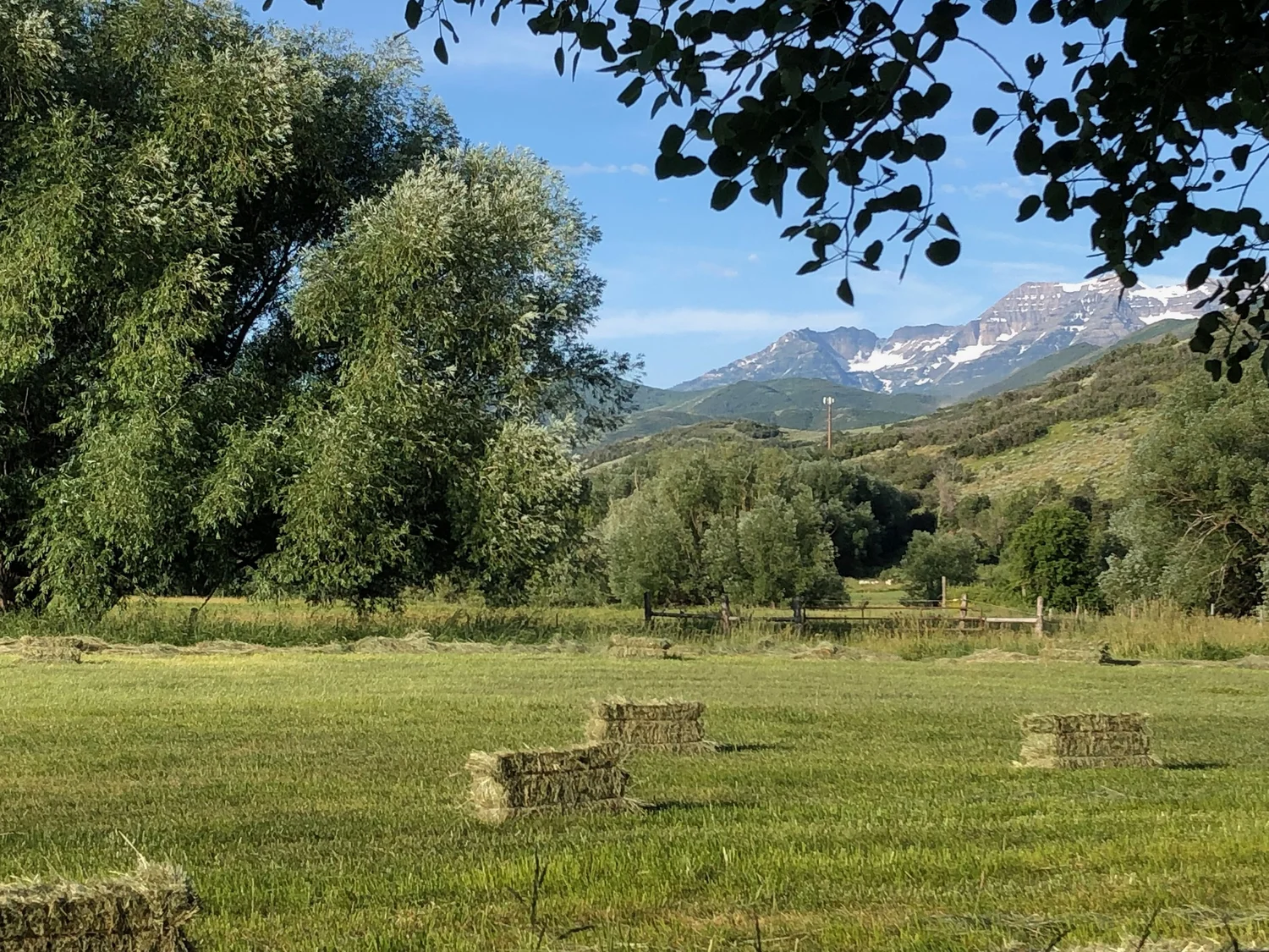 Heber Valley field with mountains in the background